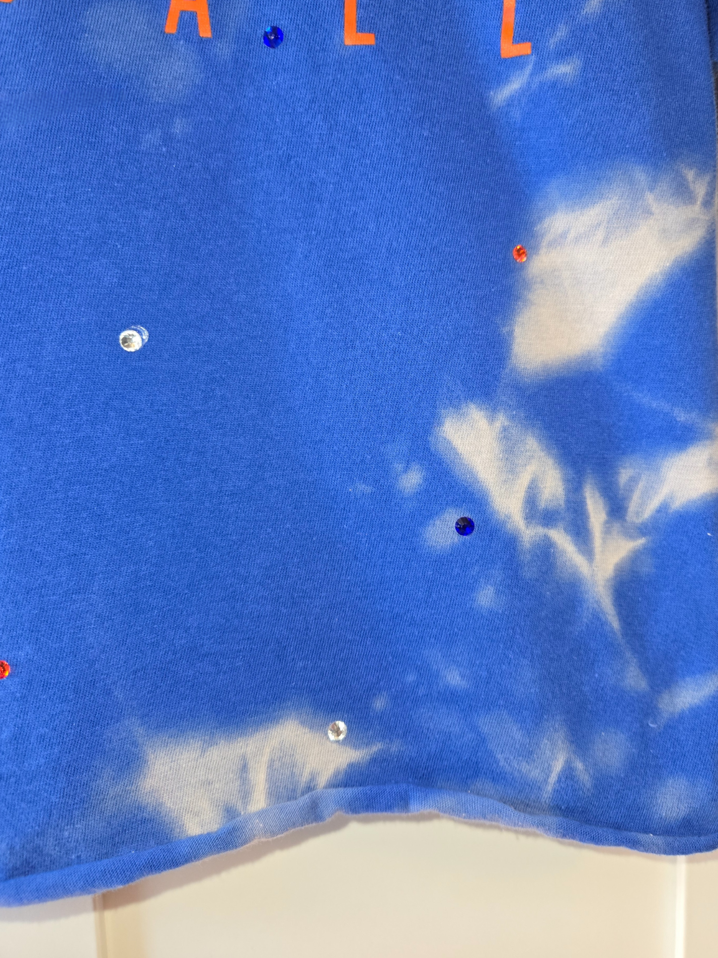 Florida Gators Crop Top