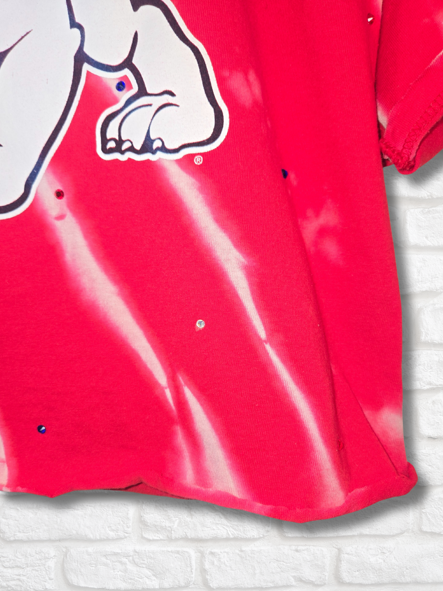 Fresno State Bulldogs Crop Top