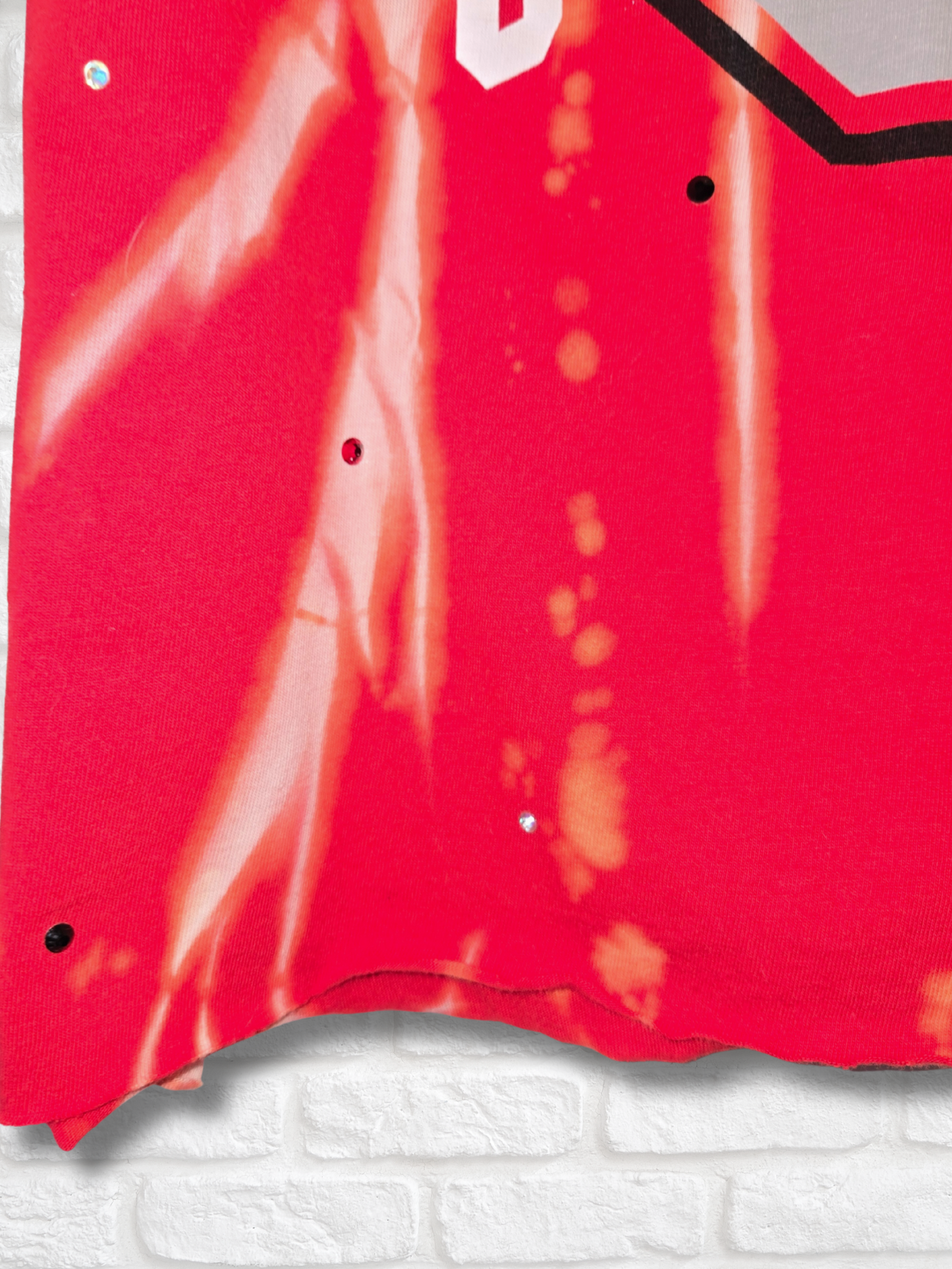 Ohio State Buckeyes Crop Top