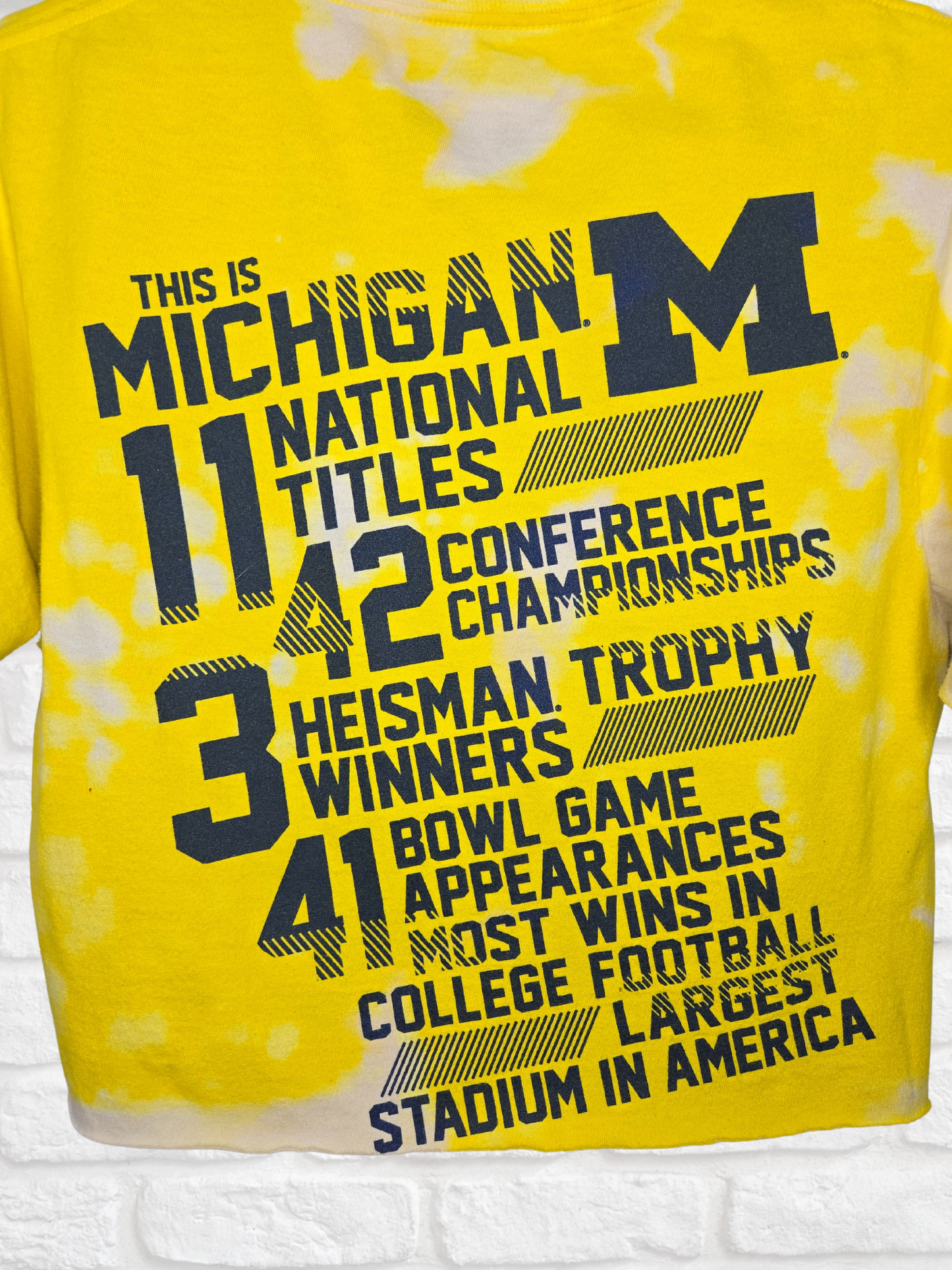 Michigan Wolverines Crop Tee