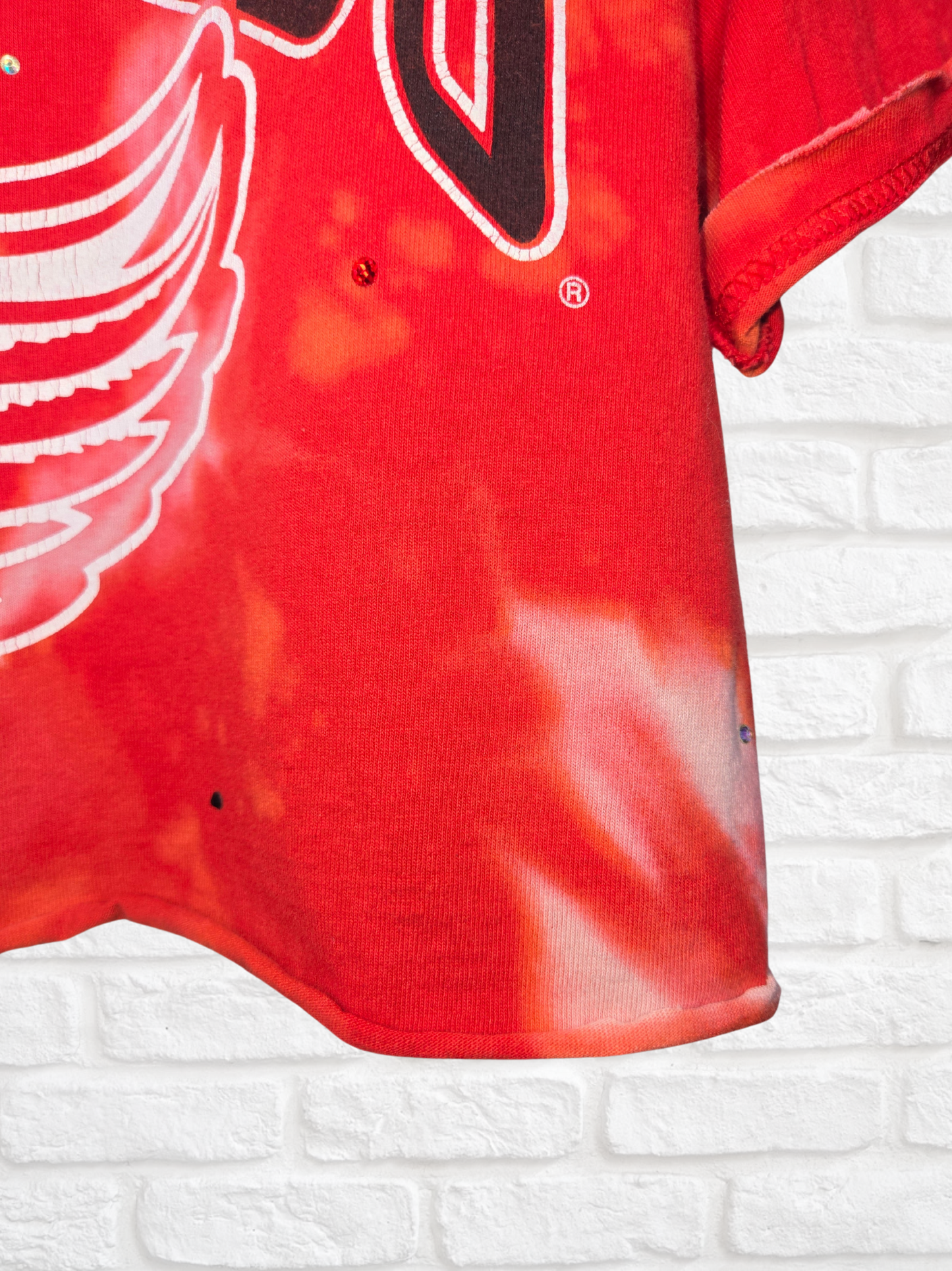 Detroit Red Wings Crop Tee