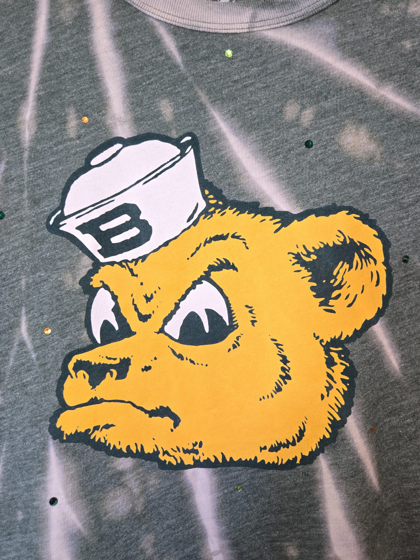 Baylor Bears Crop Top