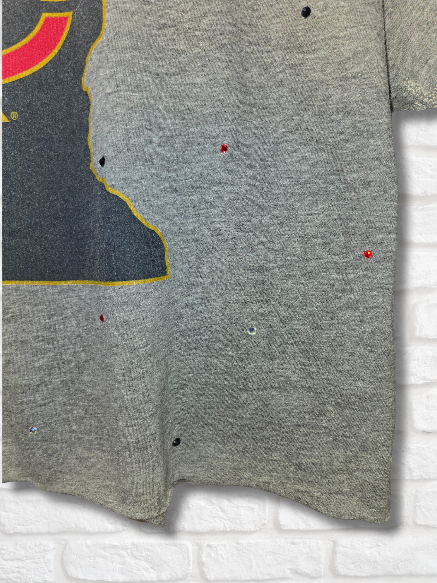Minnesota Twins Crop Top