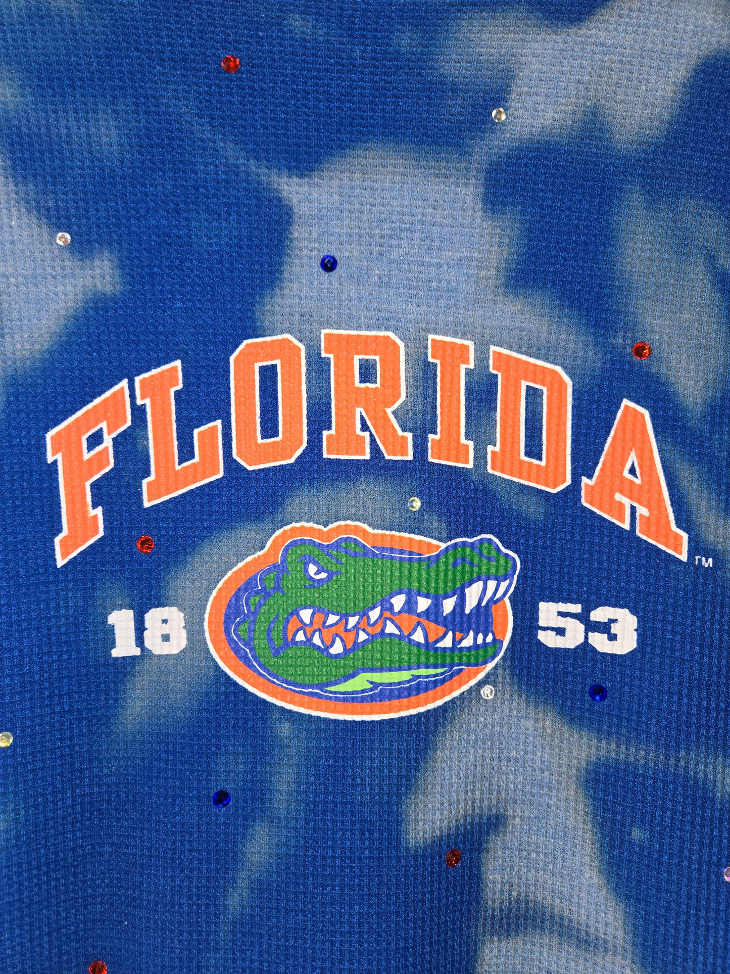 Florida Gators Crop Tee