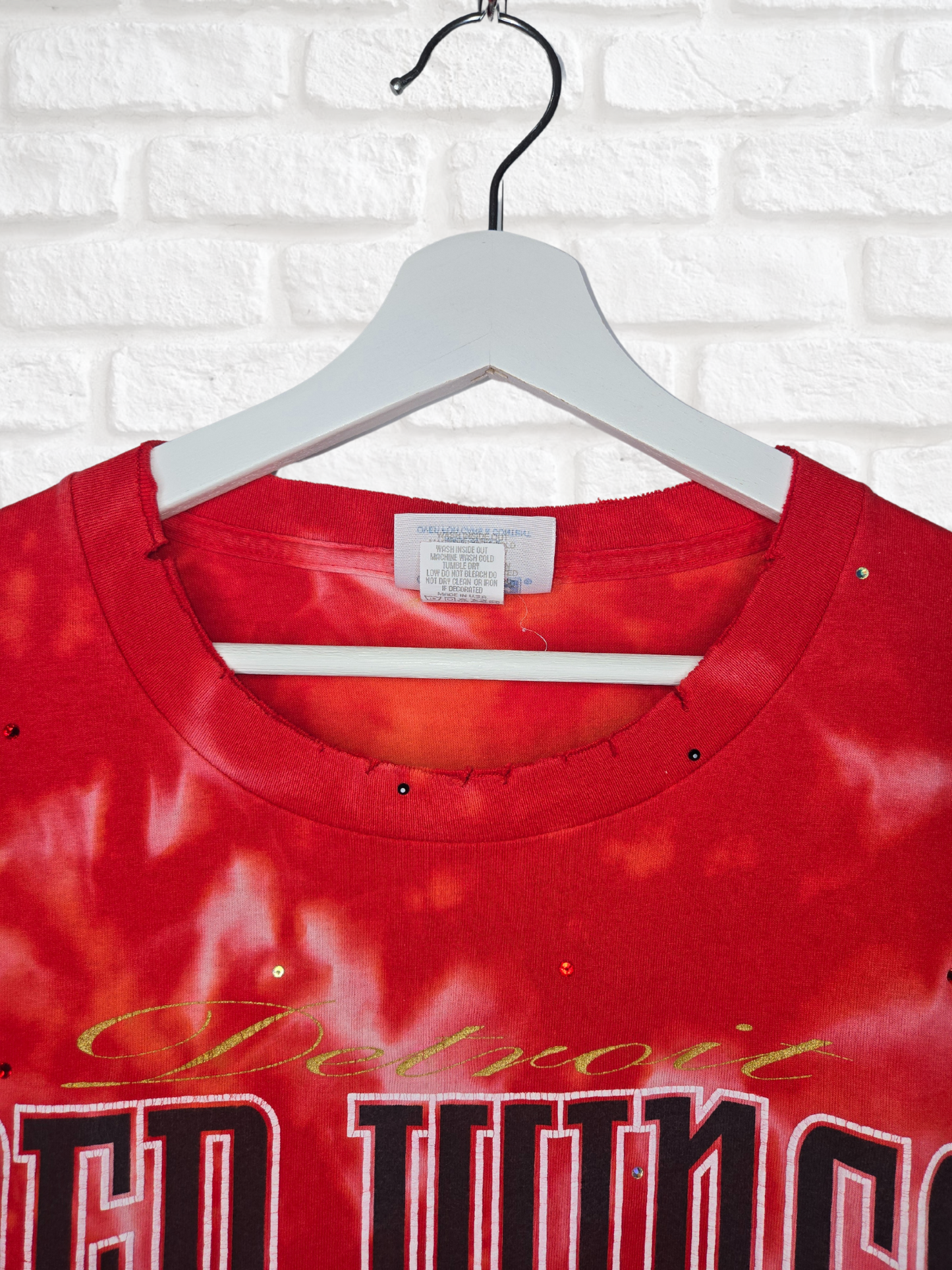 Detroit Red Wings Crop Tee