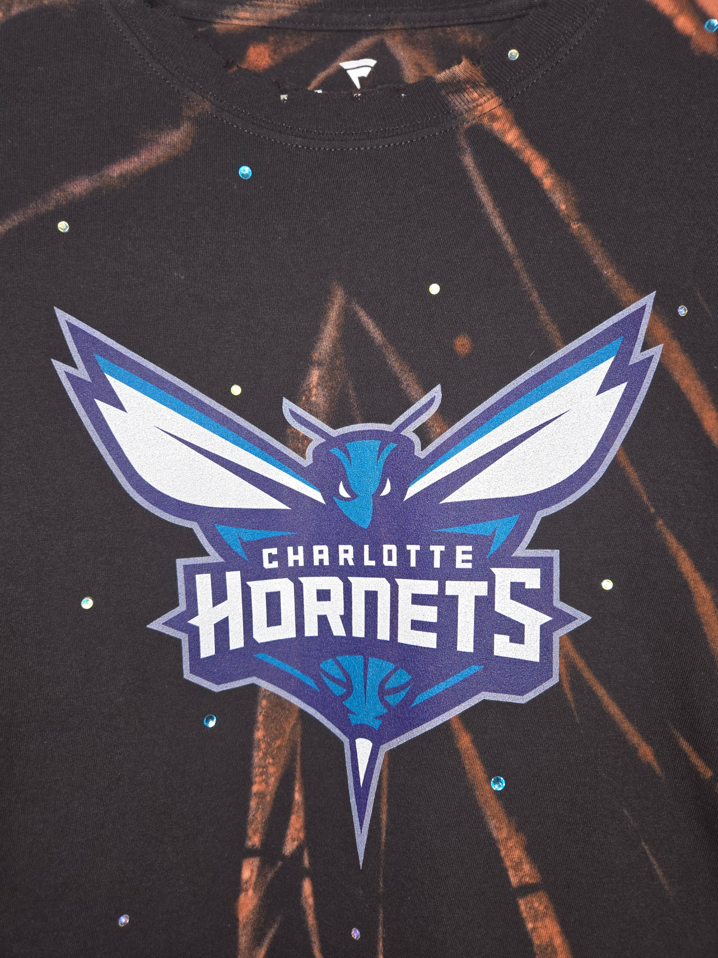 Charlotte Hornets Crop Tee