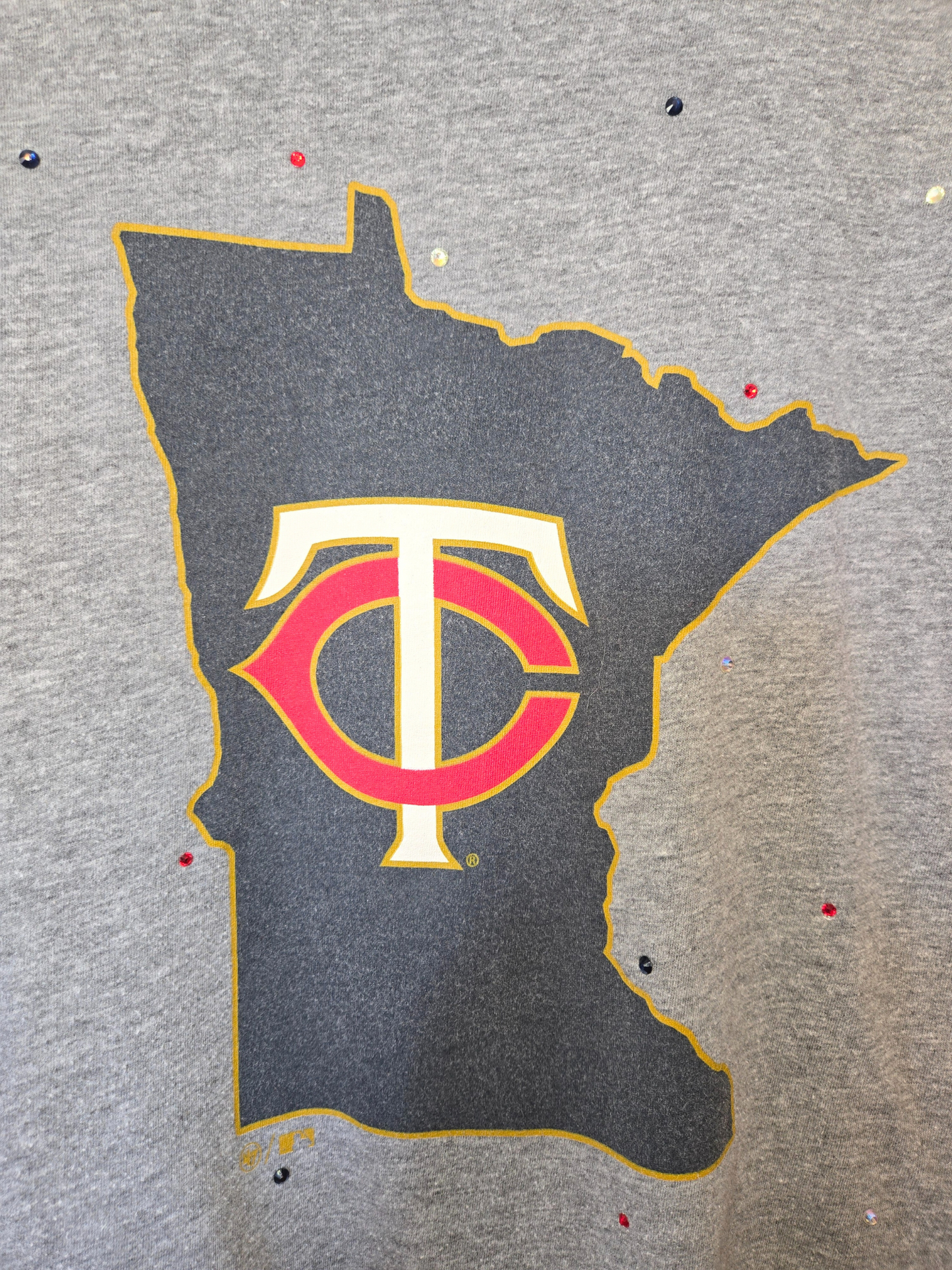 Minnesota Twins Crop Top