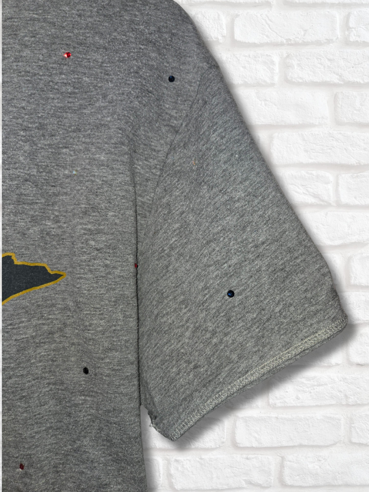 Minnesota Twins Crop Top