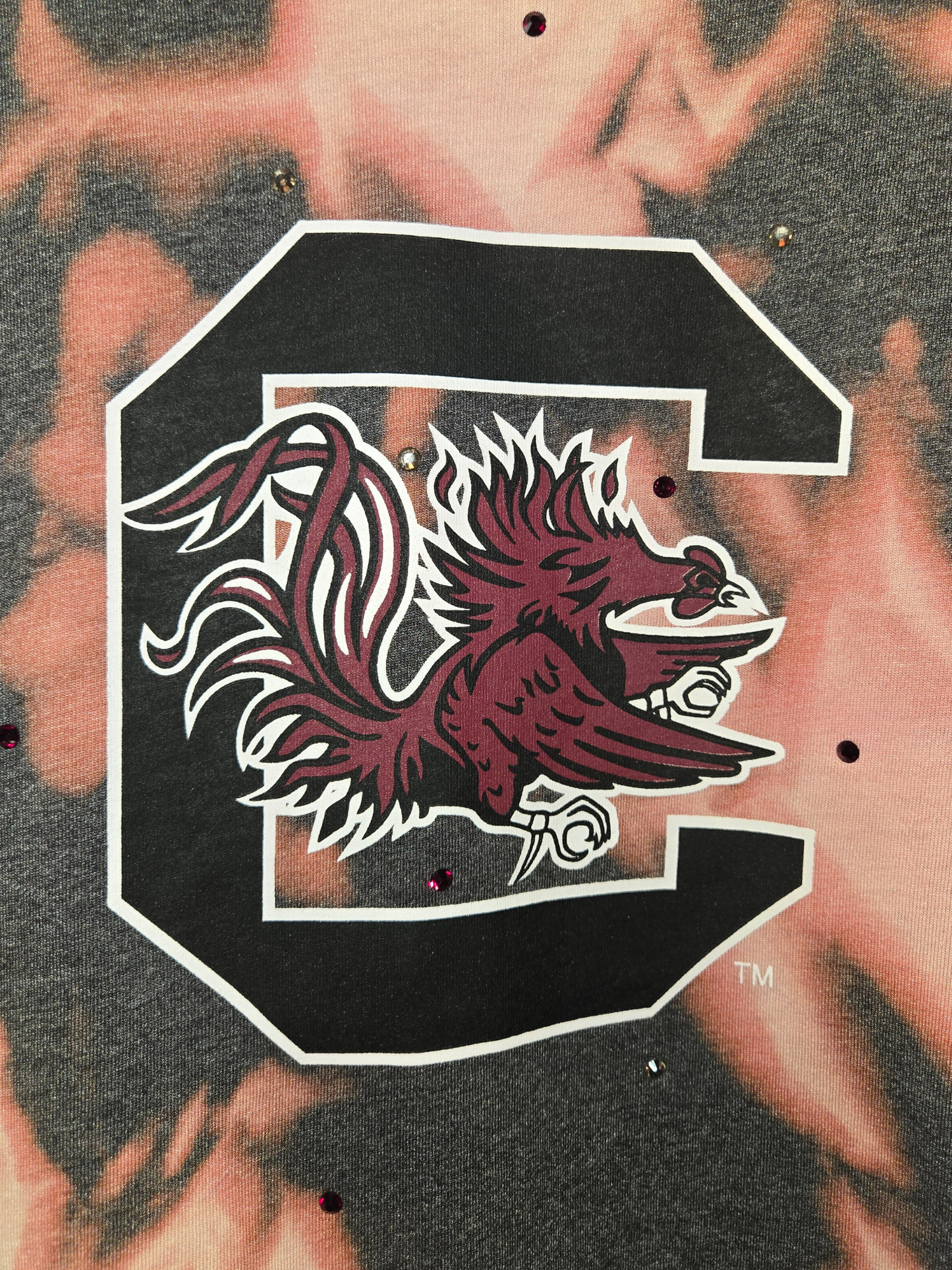Carolina Gamecocks Crop Tee
