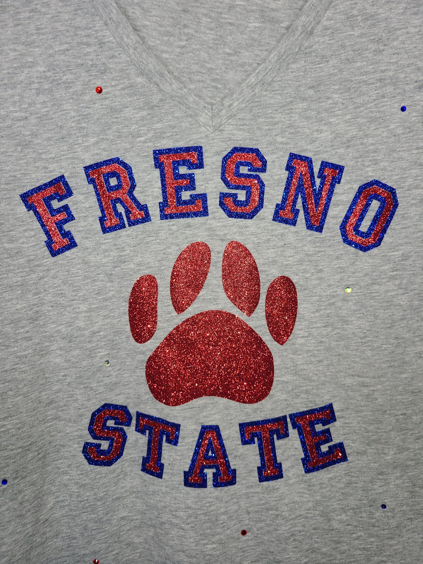 Fresno State Bulldogs Fitted Tee