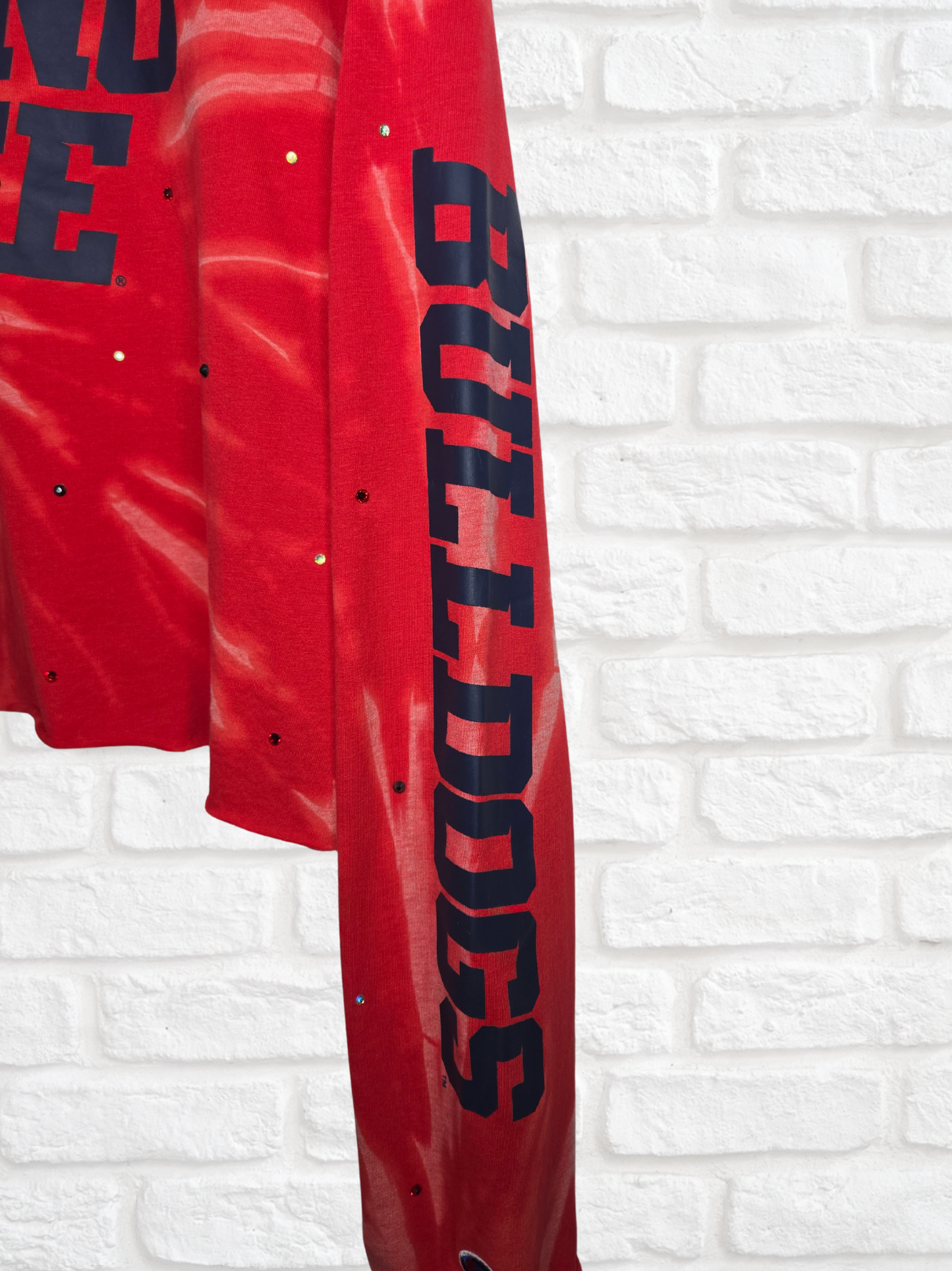 Fresno State Bulldogs Crop Tee