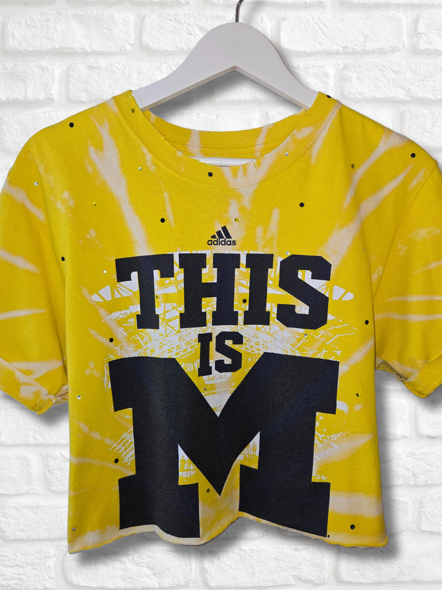 Michigan Wolverines Crop Top