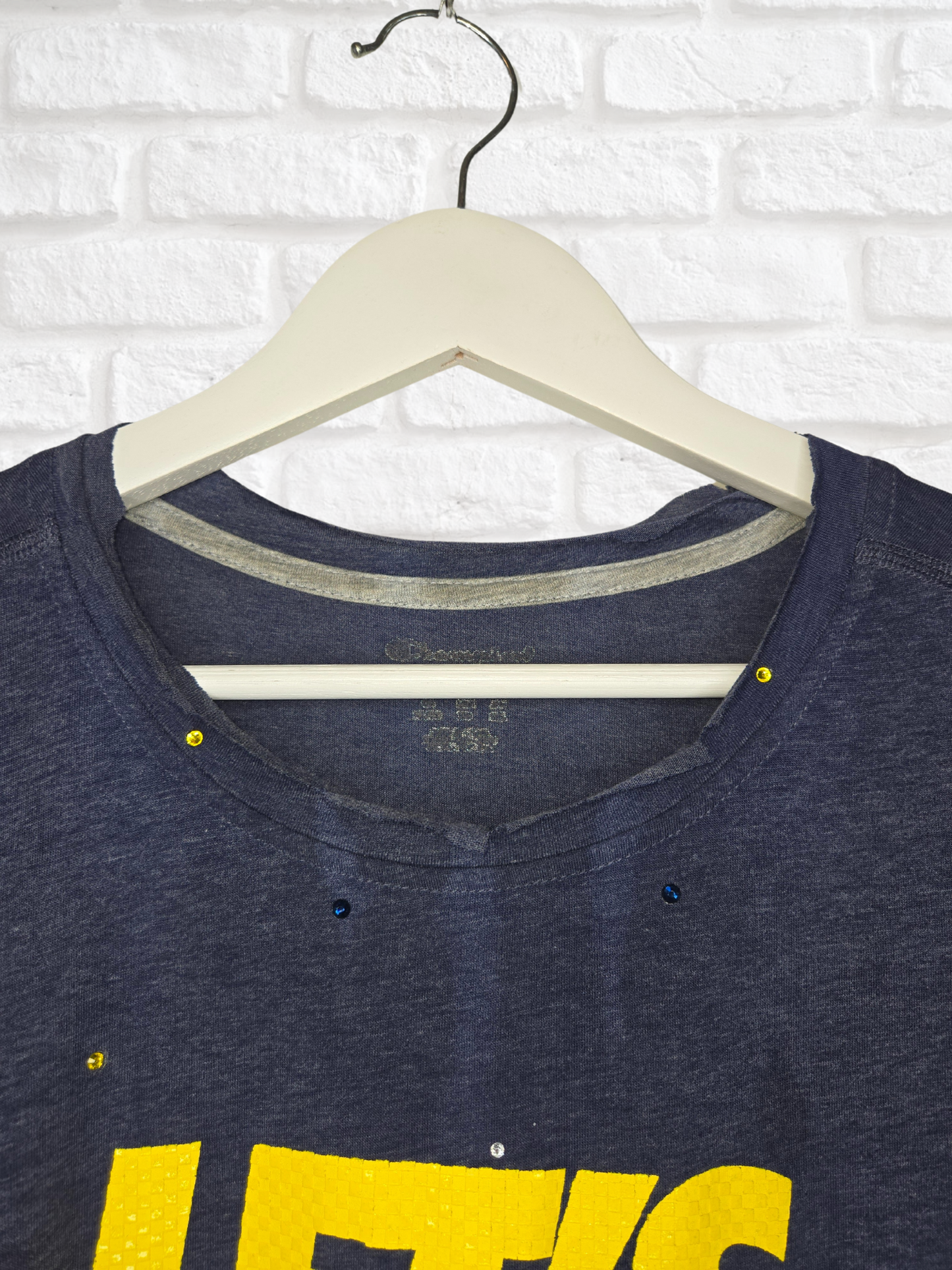 Michigan Wolverines Crop Tee
