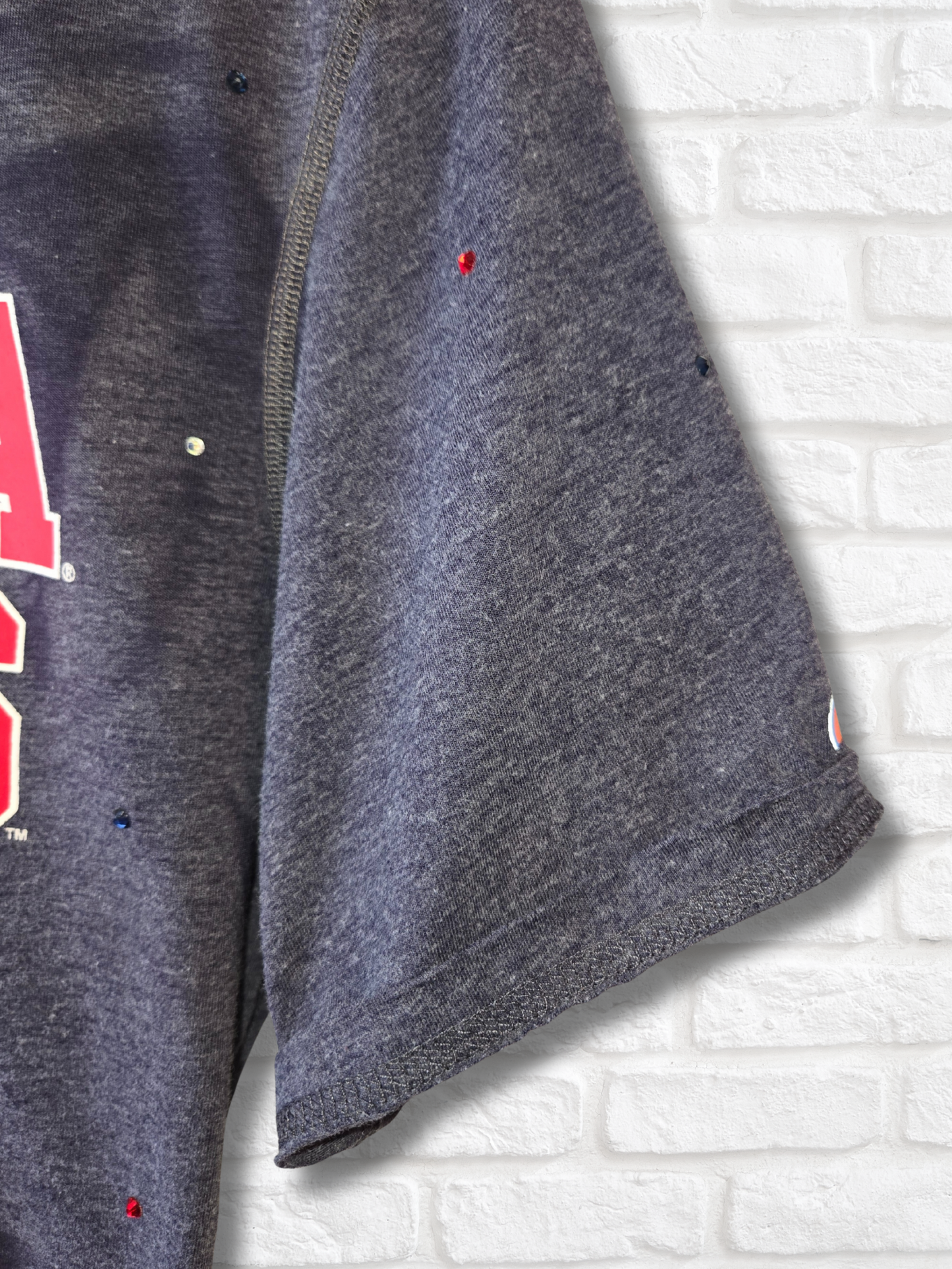Arizona Wildcats Crop Top