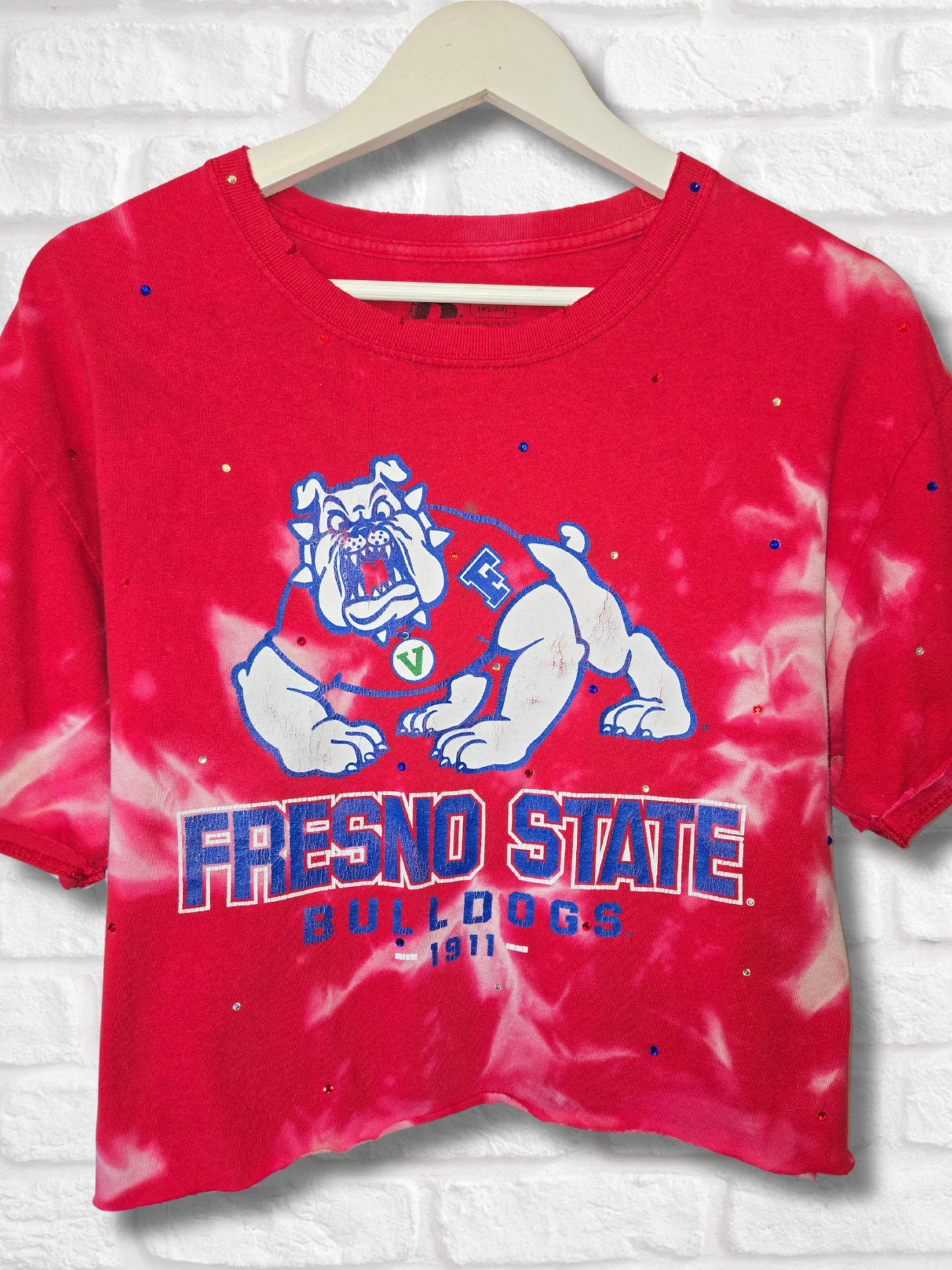 Fresno State Bulldogs Crop Tee