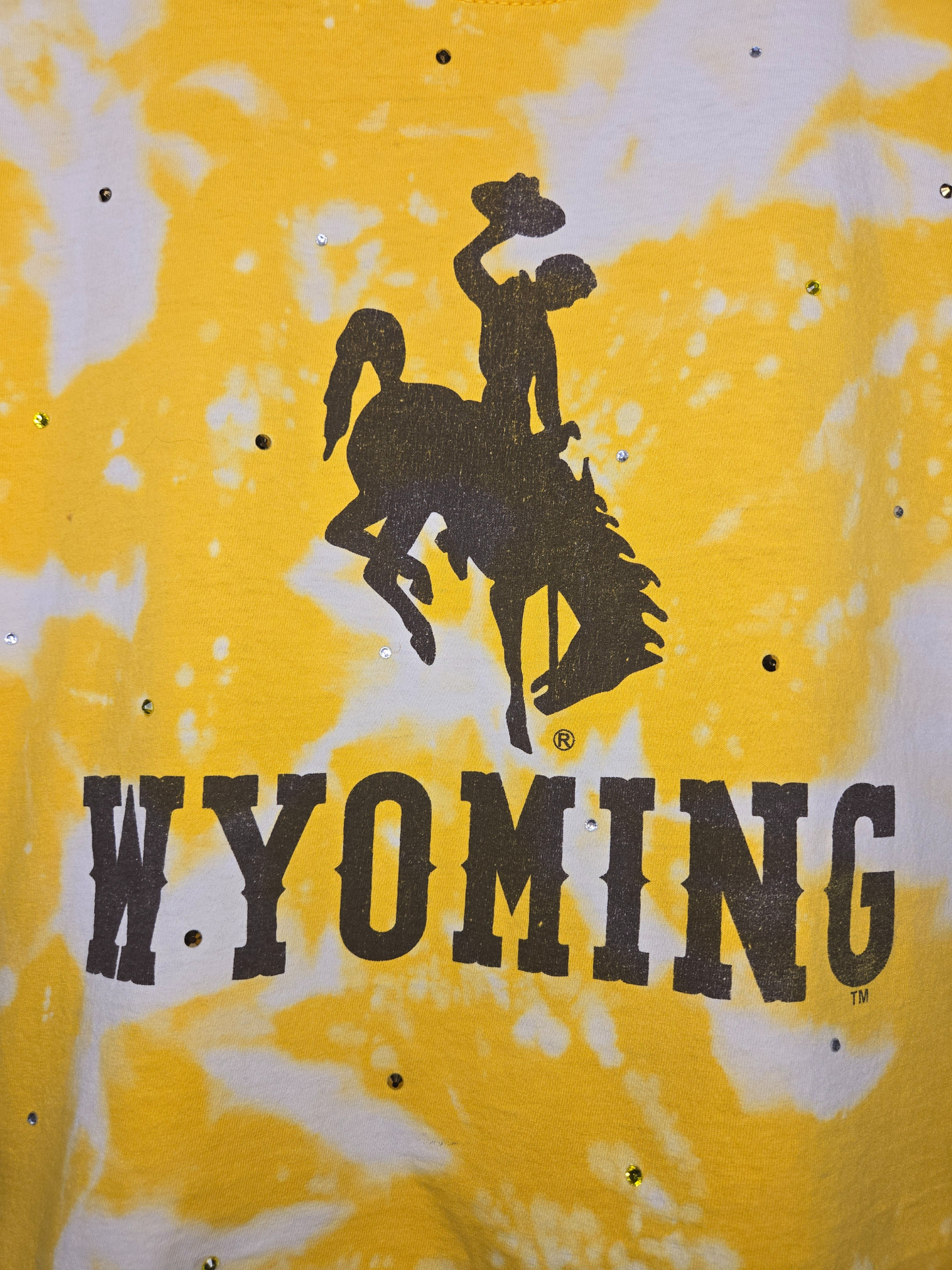 Wyoming Cowboys Crop Tee