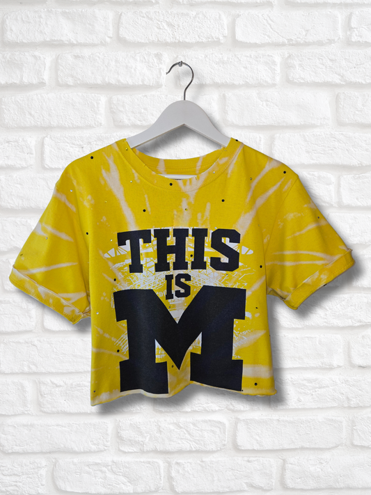 Michigan Wolverines Crop Top
