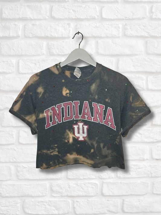 Indiana Hoosiers Crop Top
