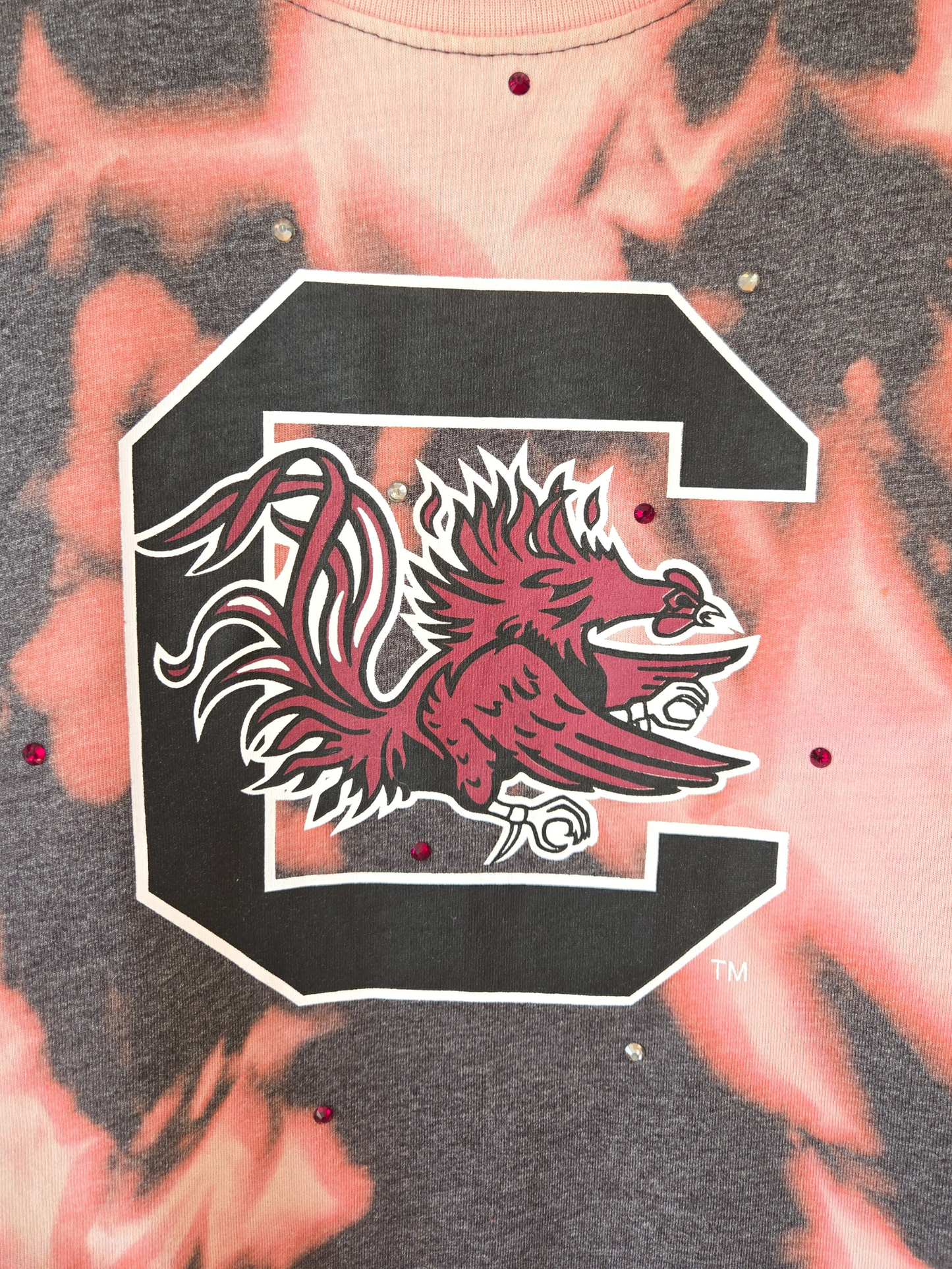 Carolina Gamecocks Crop Top