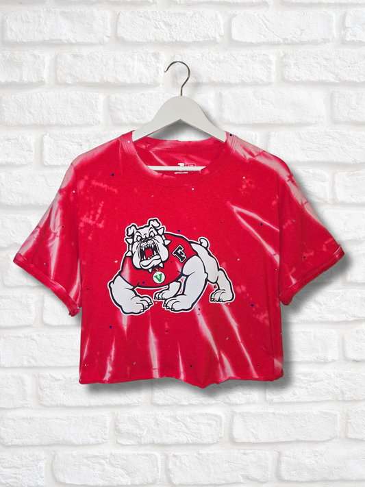 Fresno State Bulldogs Crop Top- Large