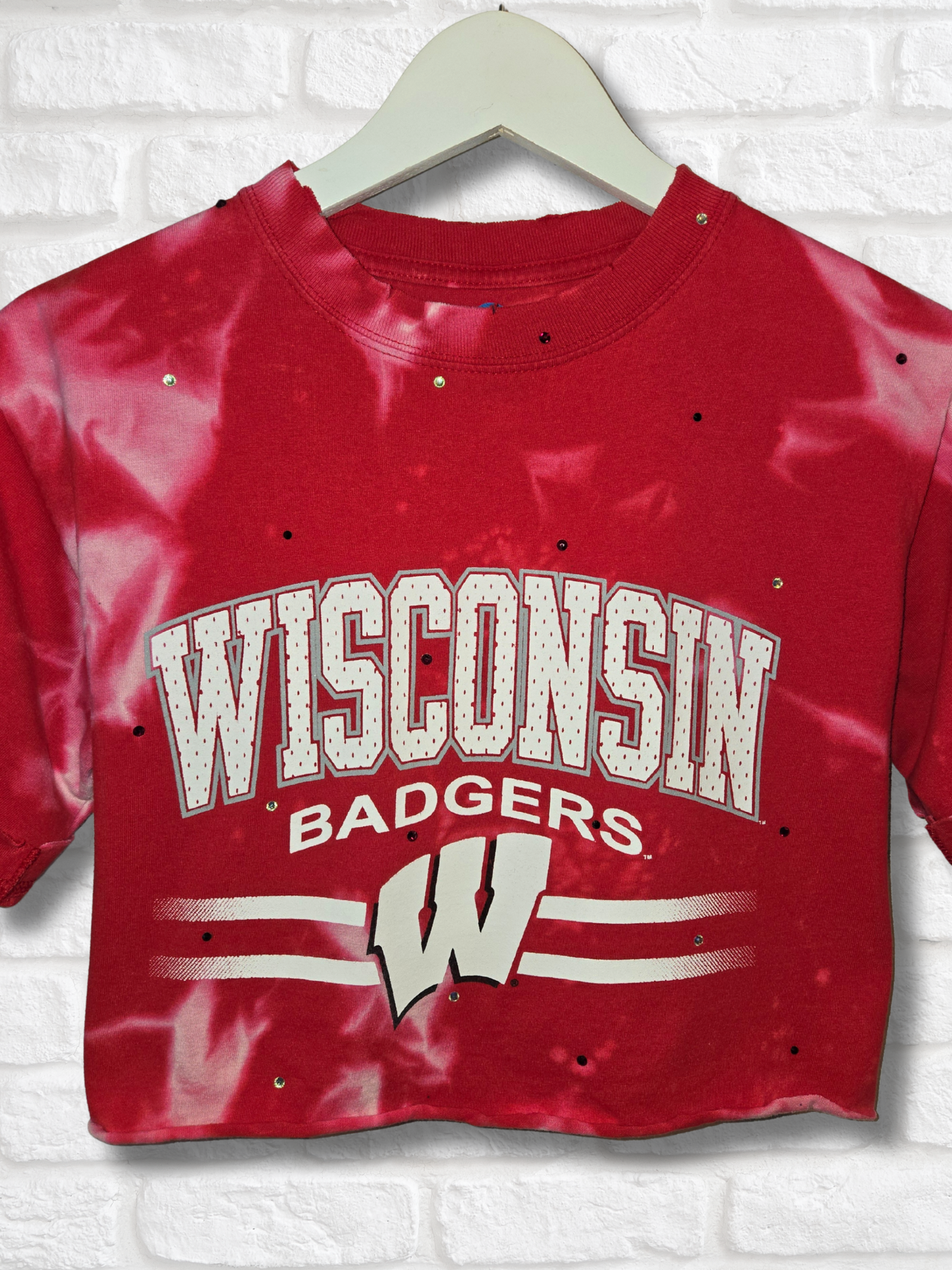 Wisconsin Badgers Crop Top- Small