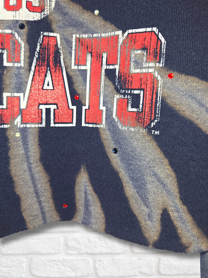 Arizona Wildcats Crop Sweatshirt