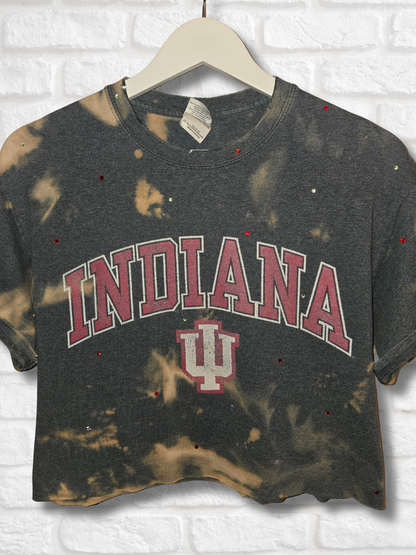 Indiana Hoosiers Crop Top