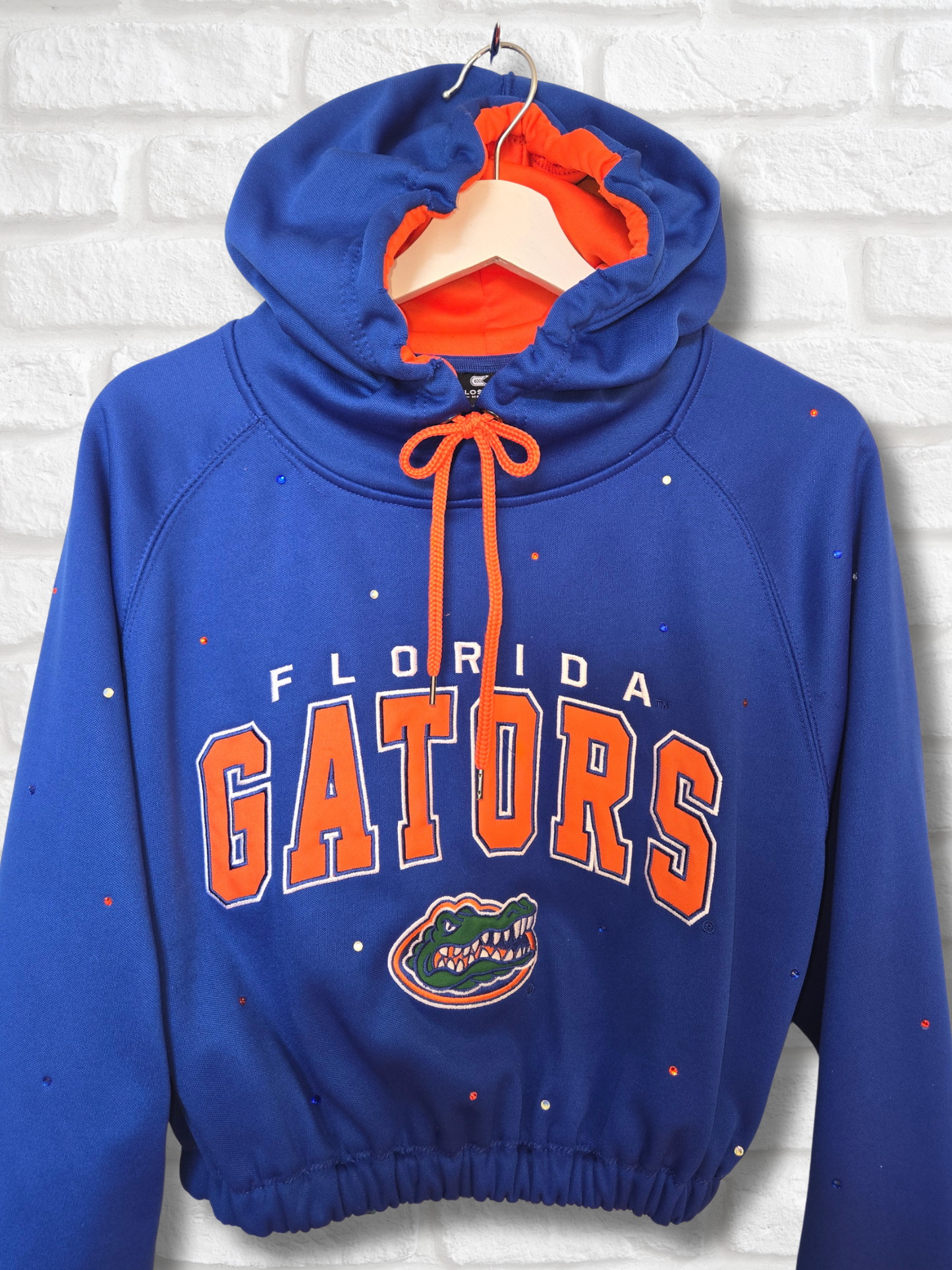 Florida Gators Crop Hoodie