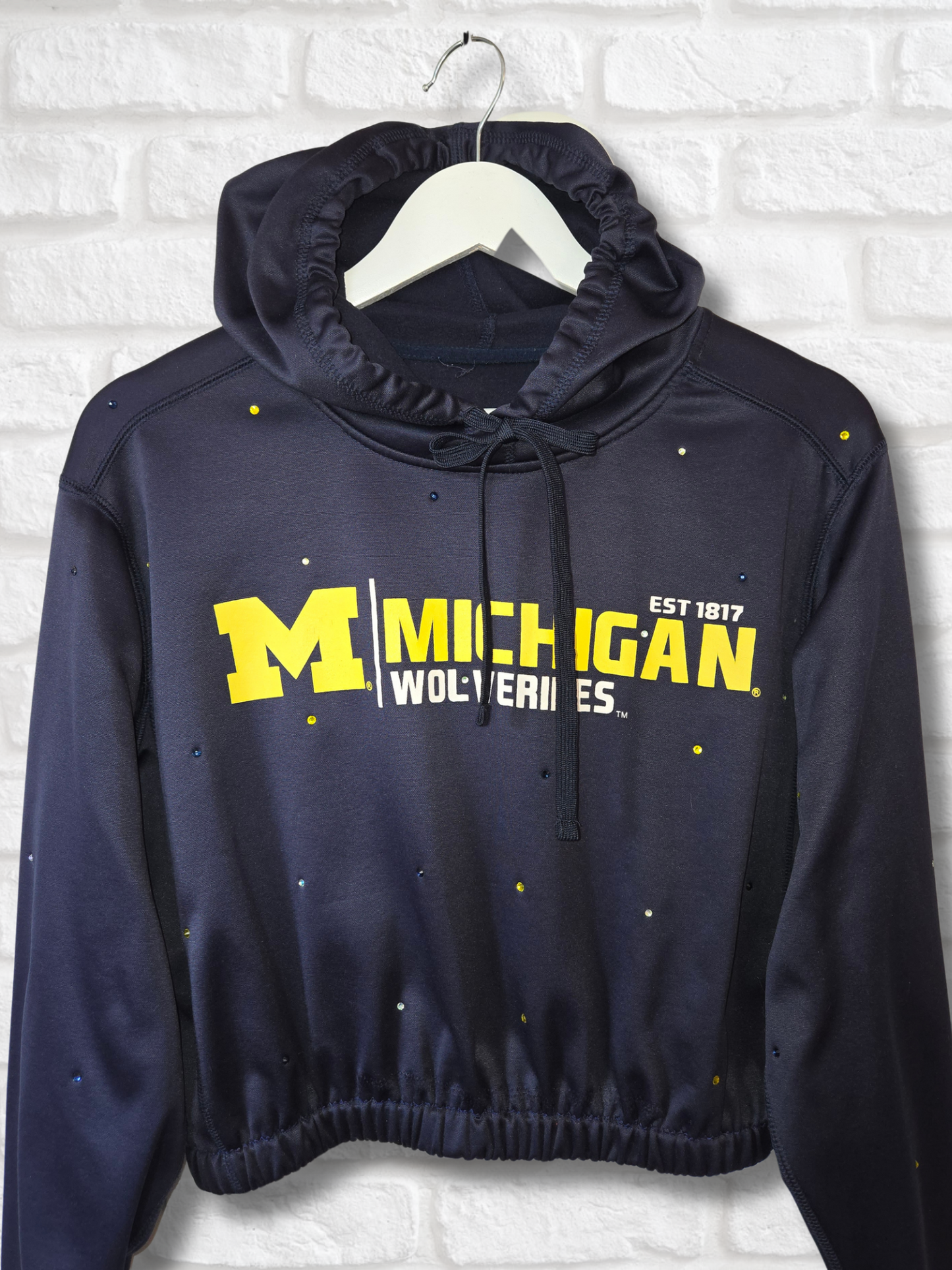 Michigan Wolverines Crop Hoodie