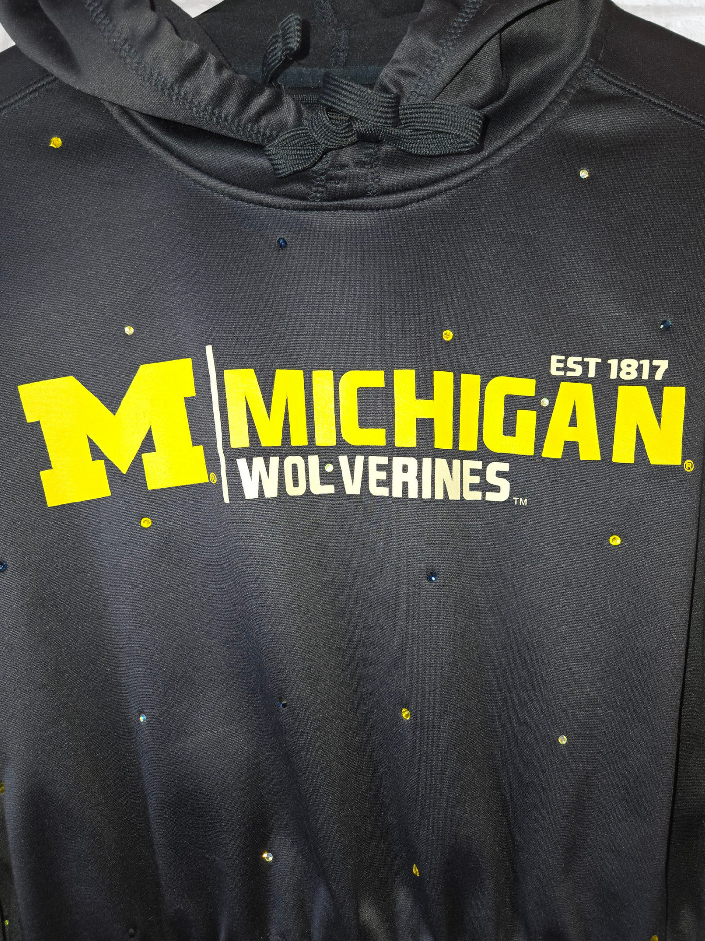 Michigan Wolverines Crop Hoodie