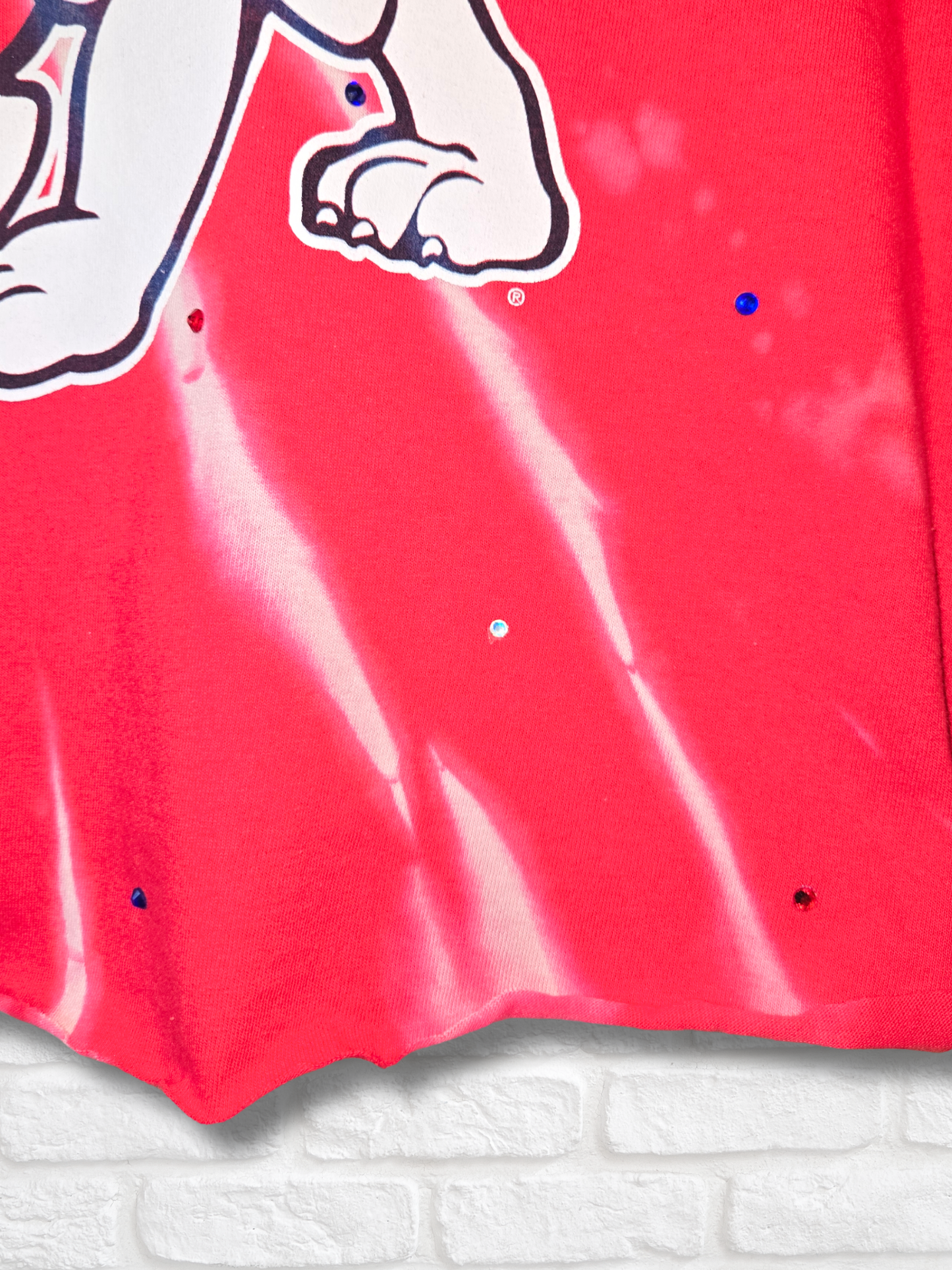 Fresno State Bulldogs Crop Top- Large