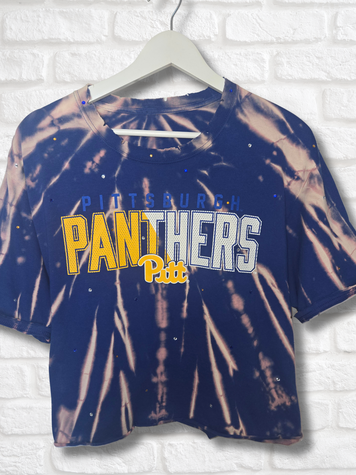 Pitt Panthers Crop Top- XL