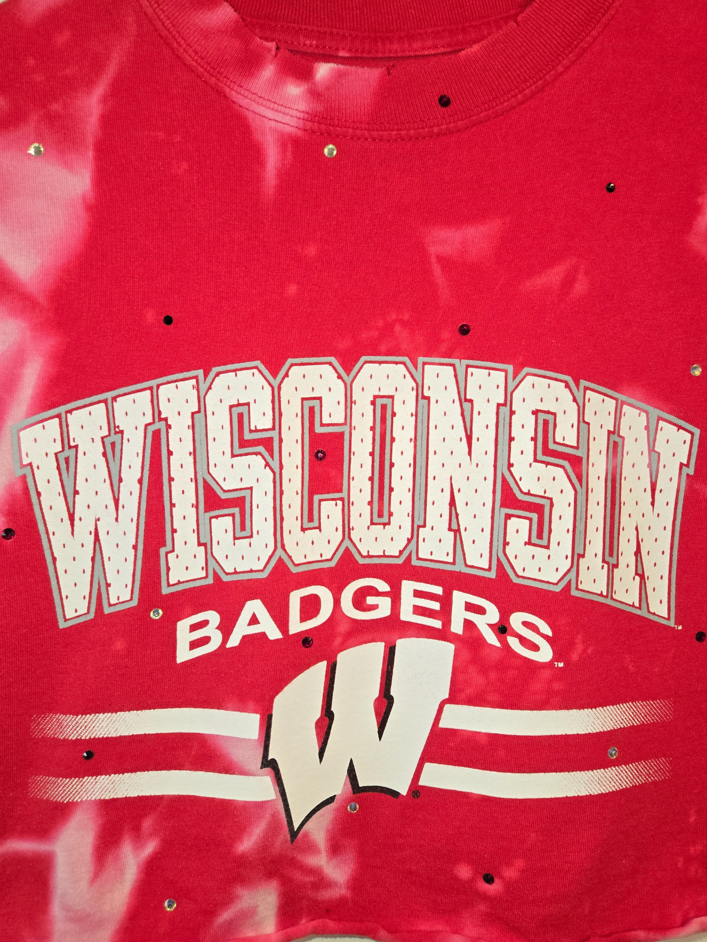 Wisconsin Badgers Crop Top- Small