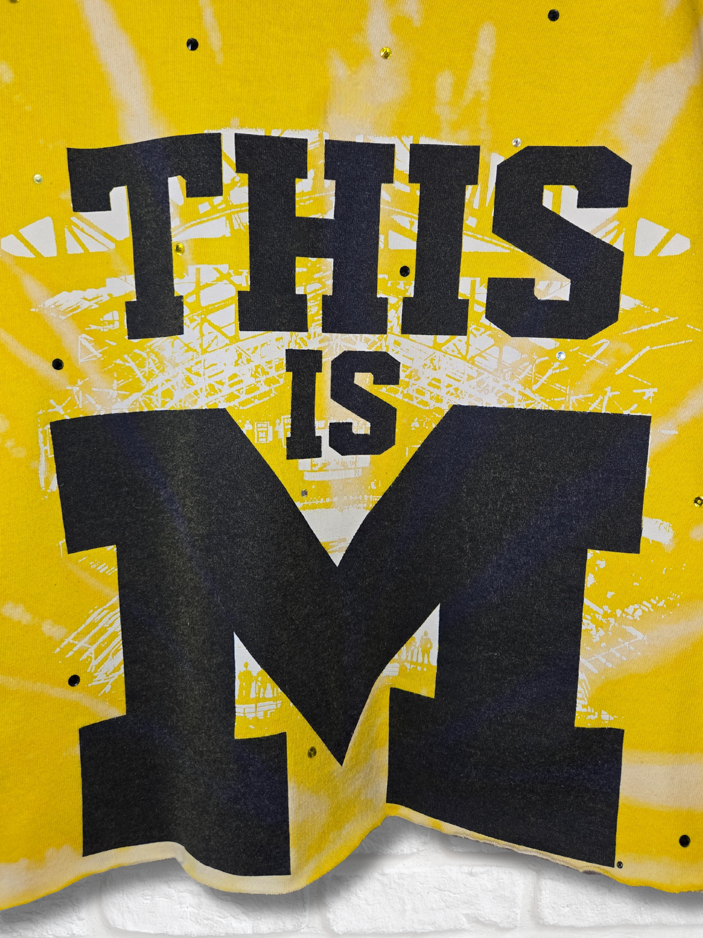 Michigan Wolverines Crop Top