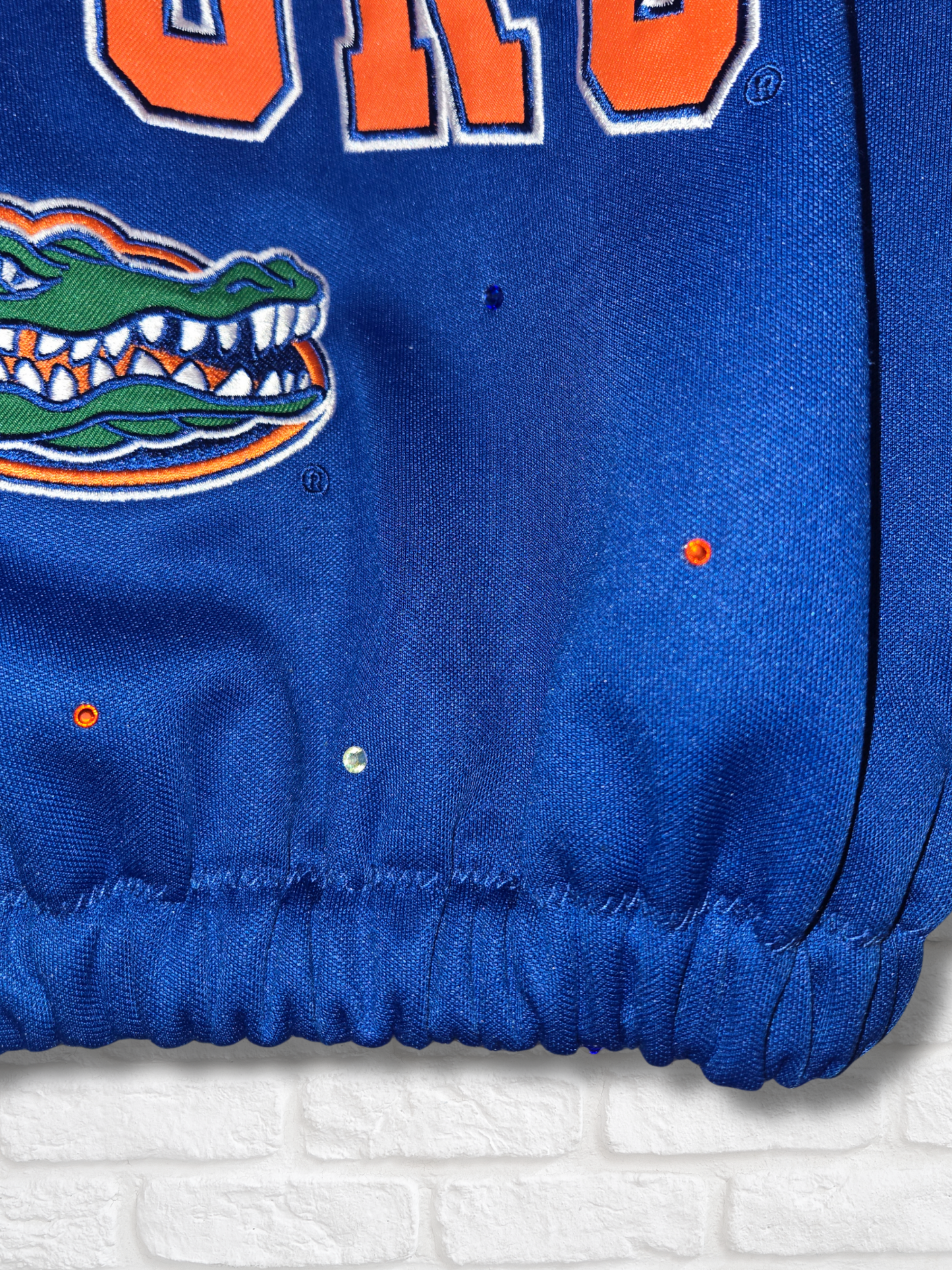 Florida Gators Crop Hoodie