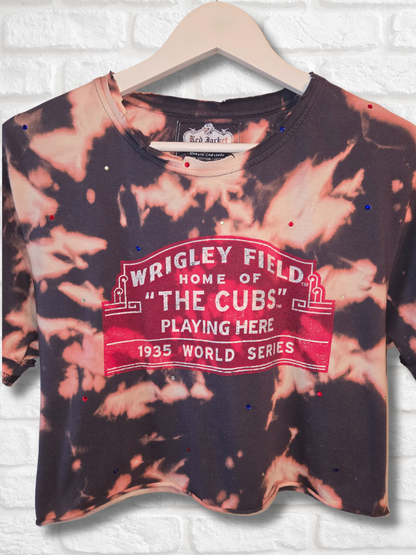 Chicago Cubs Crop Top- Small