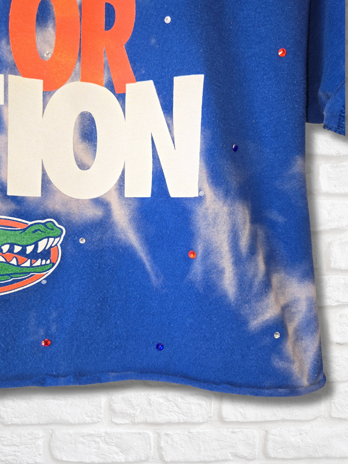 Florida Gators Crop Top