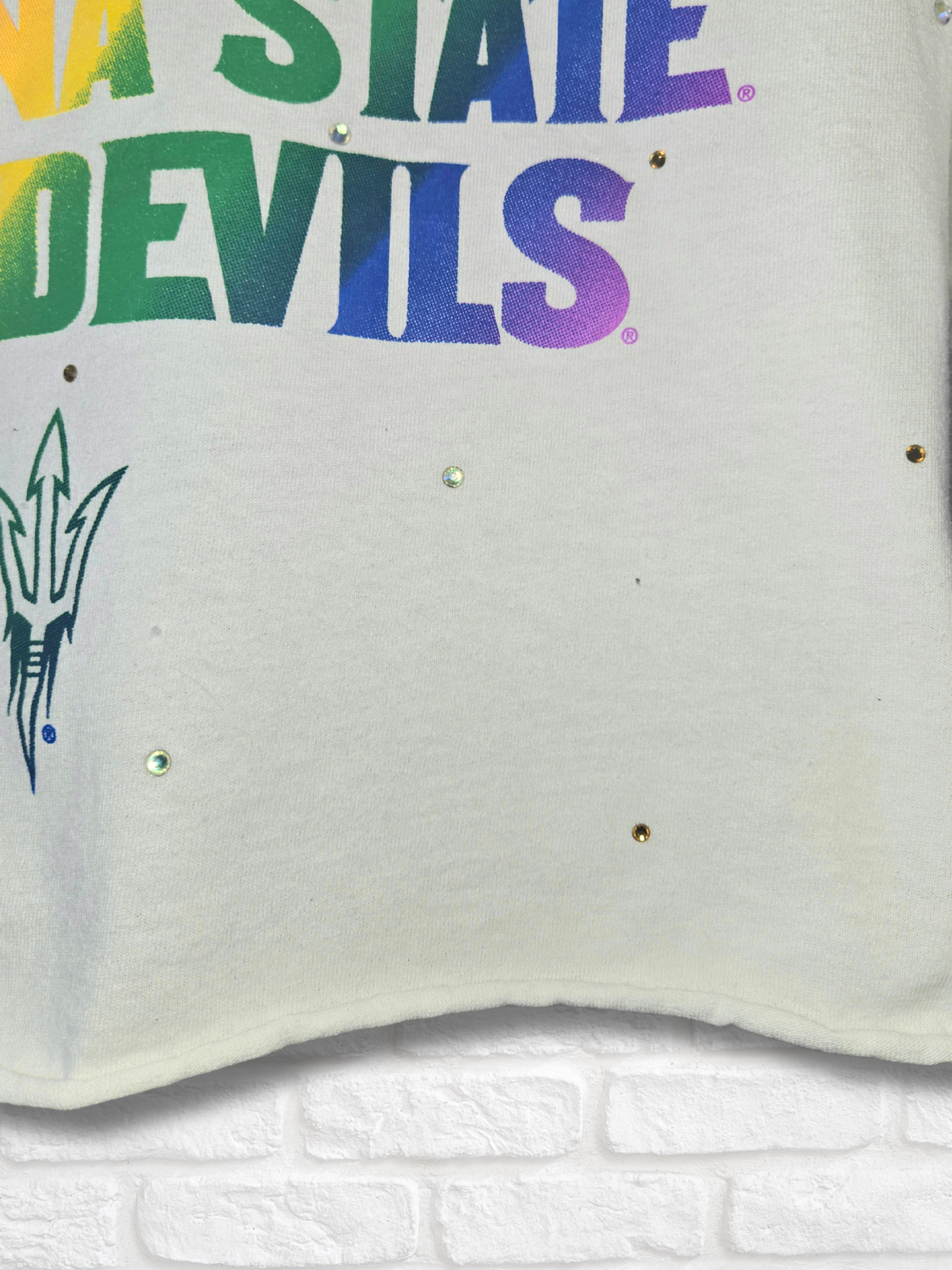 Arizona Sun Devils Pride Crop Top - Medium