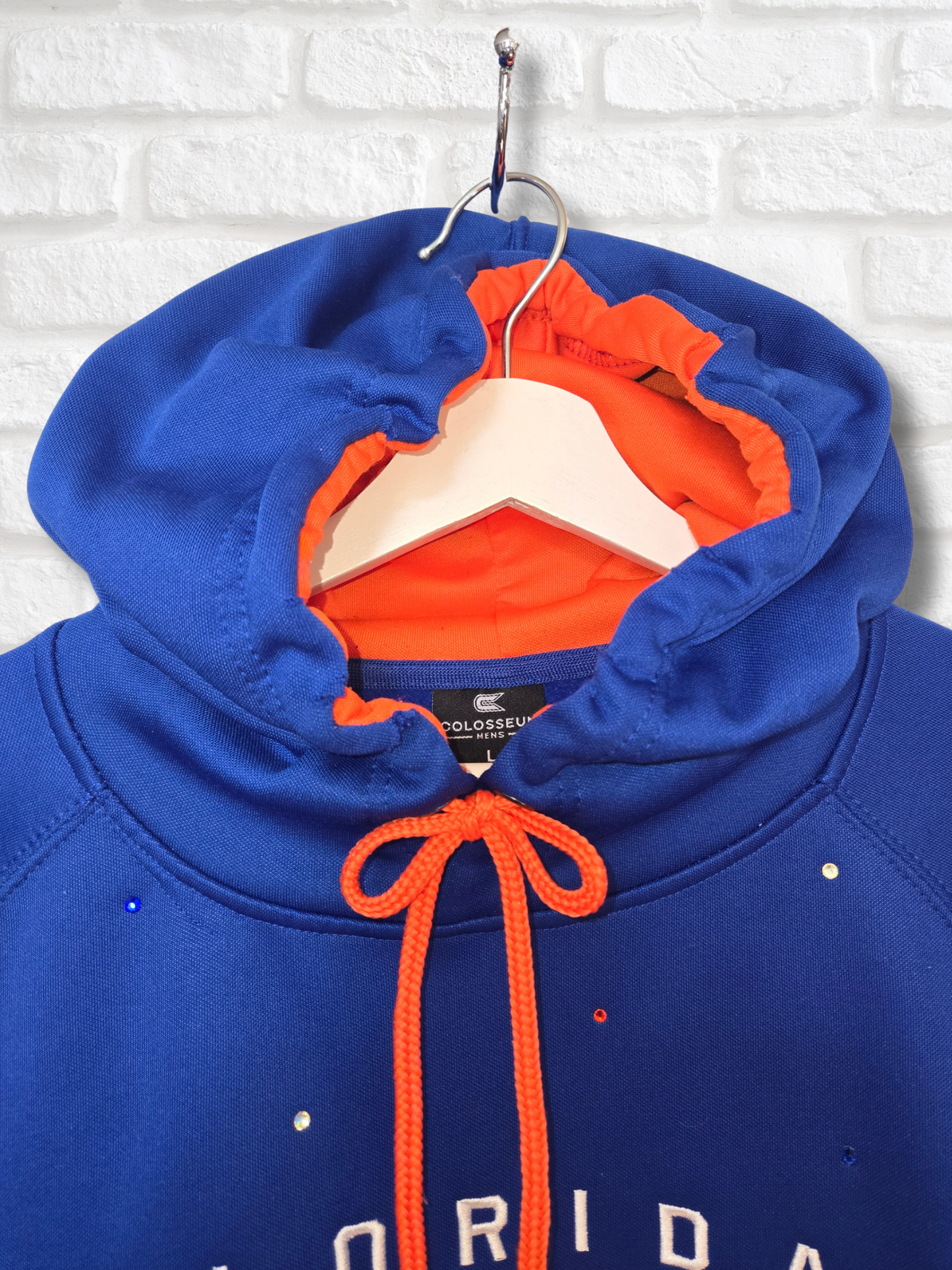 Florida Gators Crop Hoodie