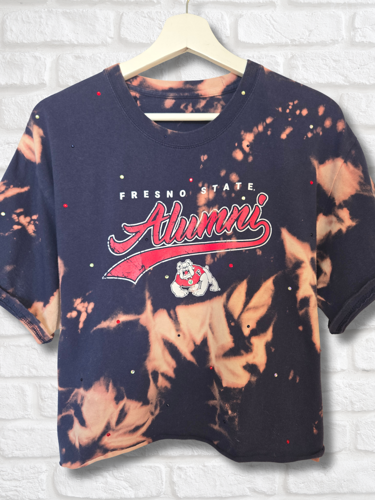 Fresno State Bulldogs Crop Top- Large