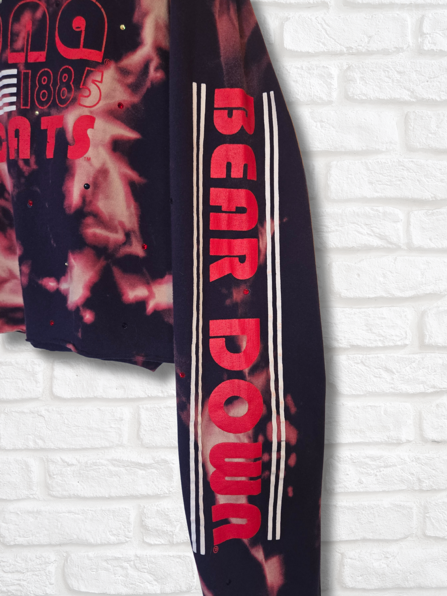 Arizona Wildcats Crop Top