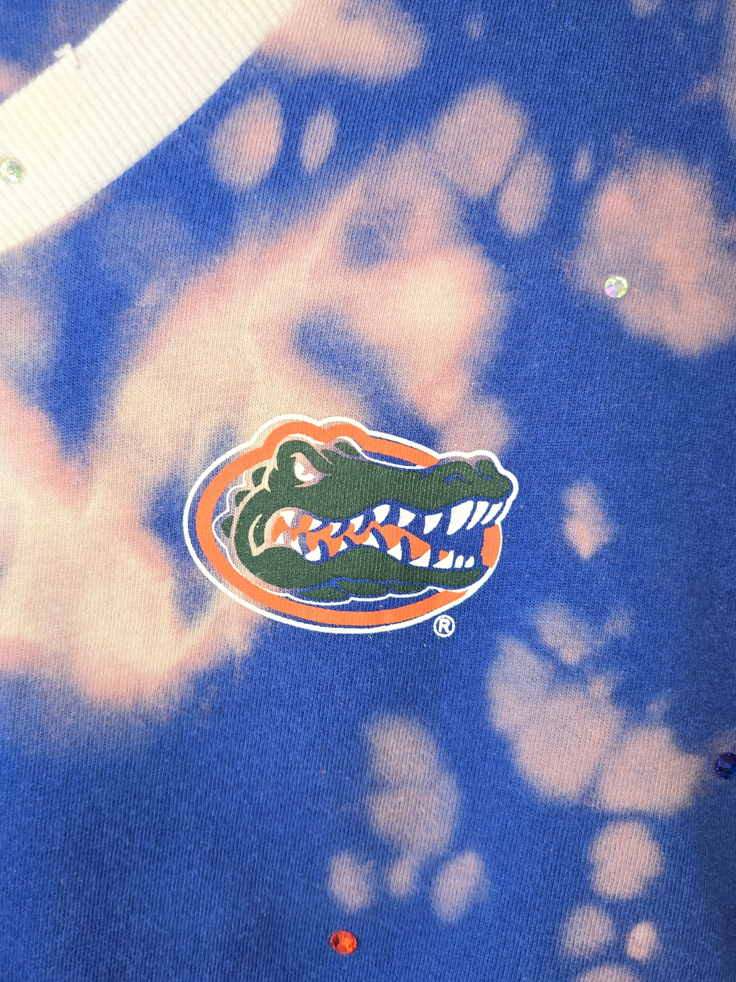 Florida Gators Crop Top