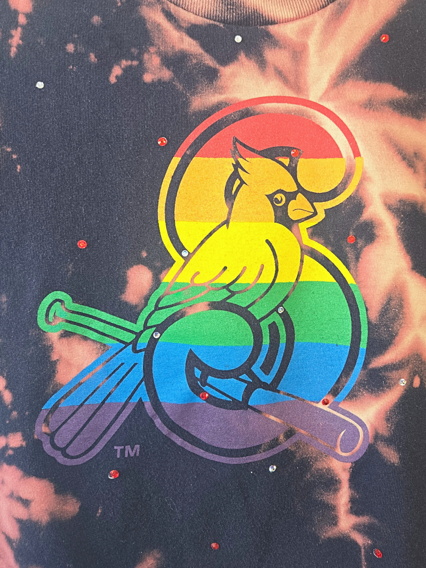 St. Louis Cardinals Pride Crop Top- Small