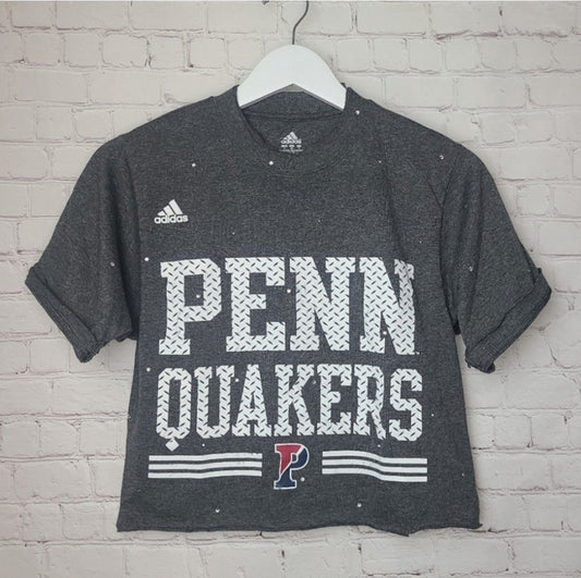 UPenn Quakers Crop Tee