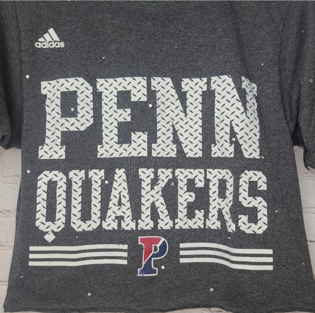 UPenn Quakers Crop Tee