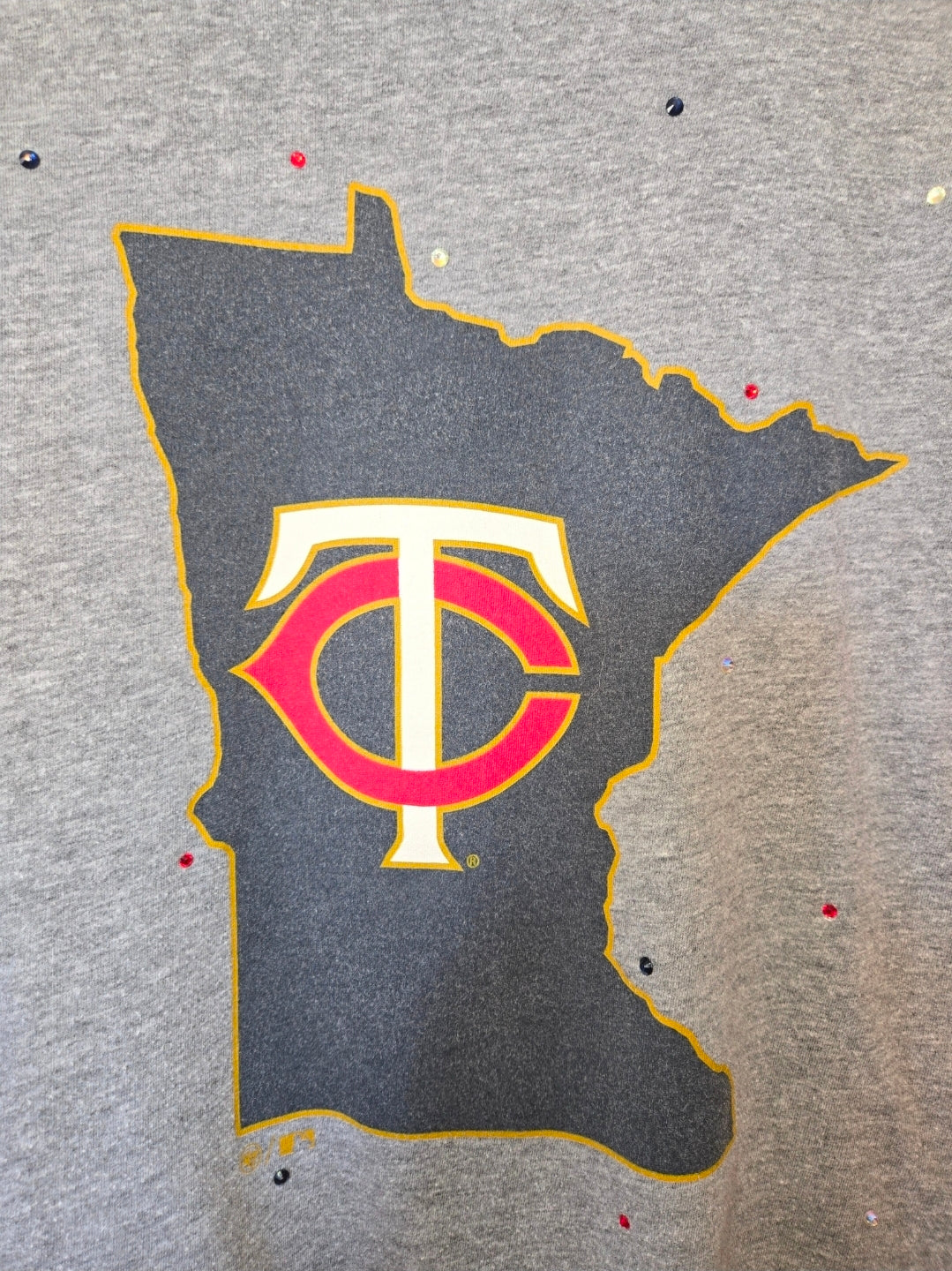 Minnesota Twins Crop Top