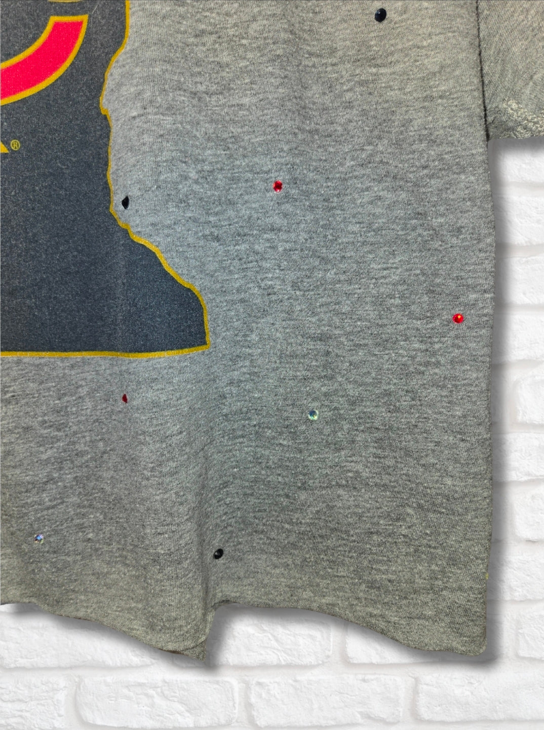 Minnesota Twins Crop Top