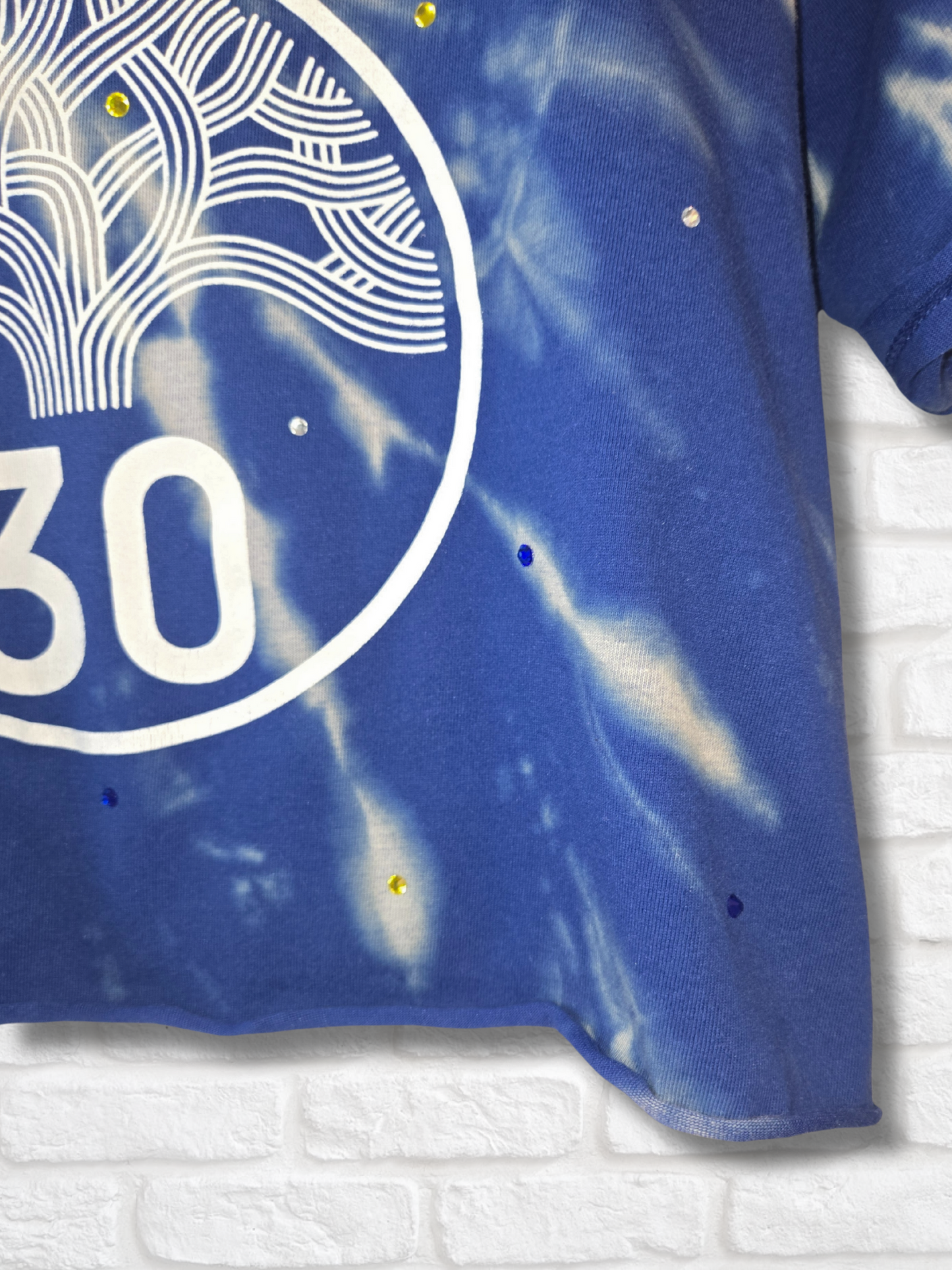 Golden State Warriors Crop Top