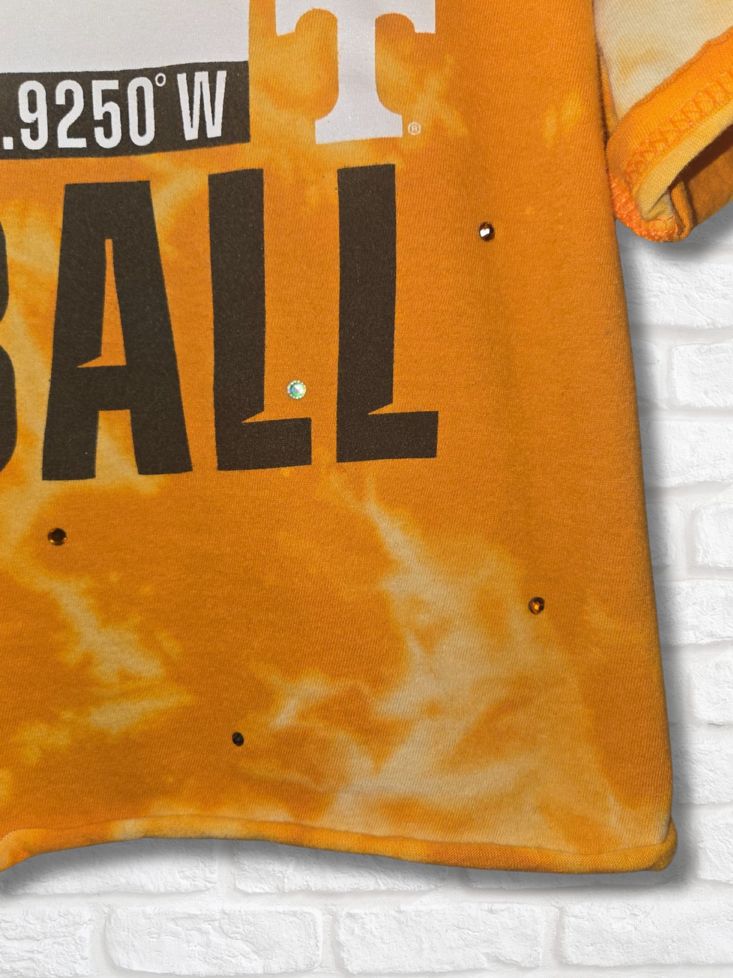 Tennessee Volunteers Crop Top Custom Order