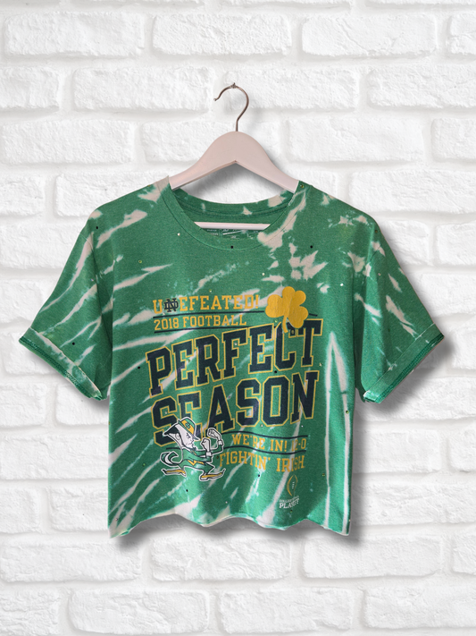 Notre Dame Fighting Irish Crop Tee